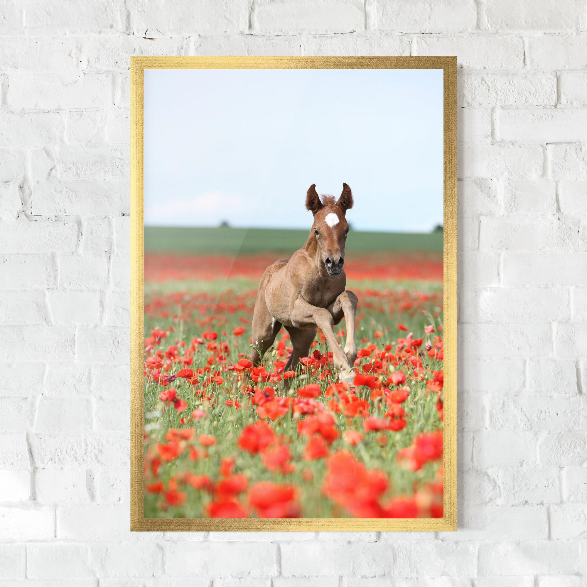 Gerahmte Poster Red Flowers Horse mockup 0