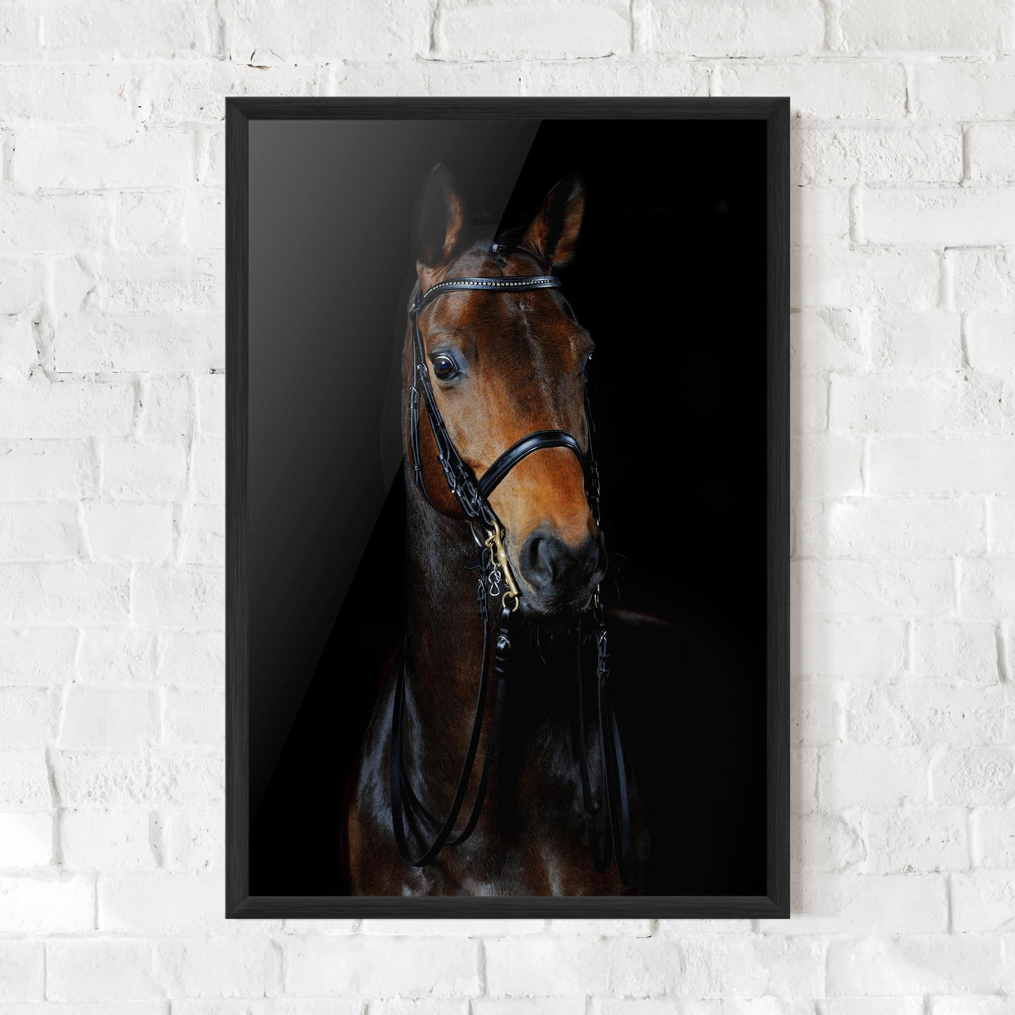 Gerahmte Poster Brown Horse On Black mockup 0