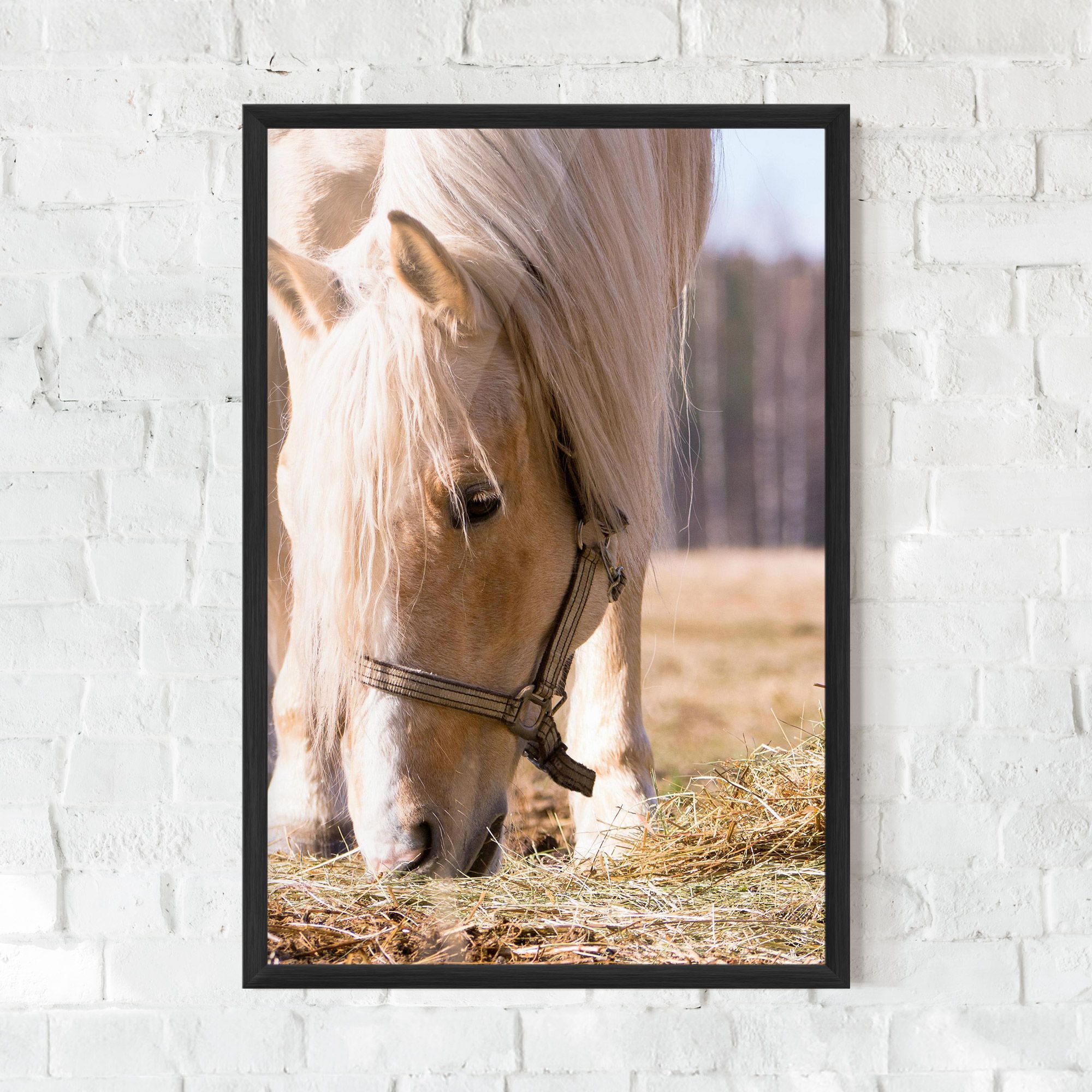 Cream Horse Eating mockup 0