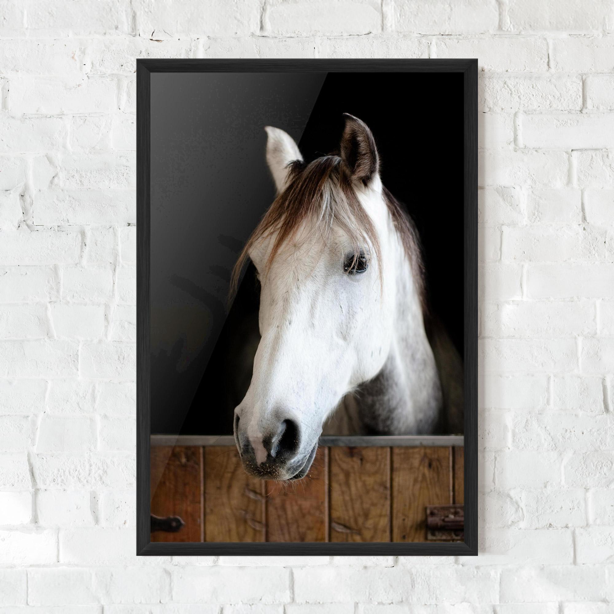 Gerahmte Poster Grey Horse Head mockup 0