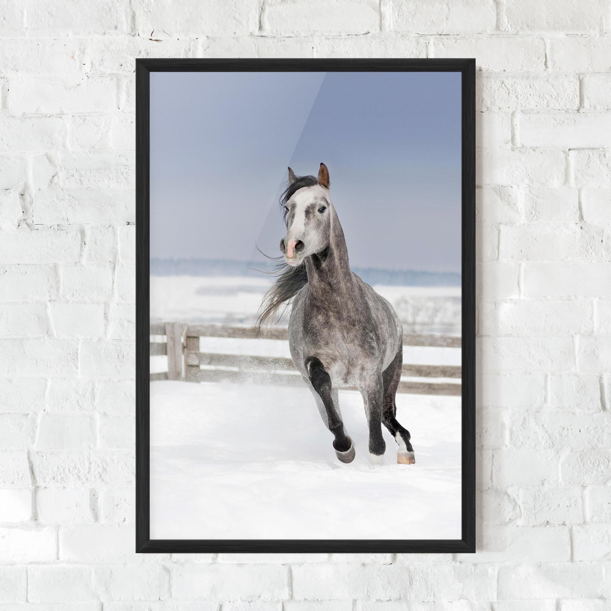 Gerahmte Poster Horse Running Free mockup 0