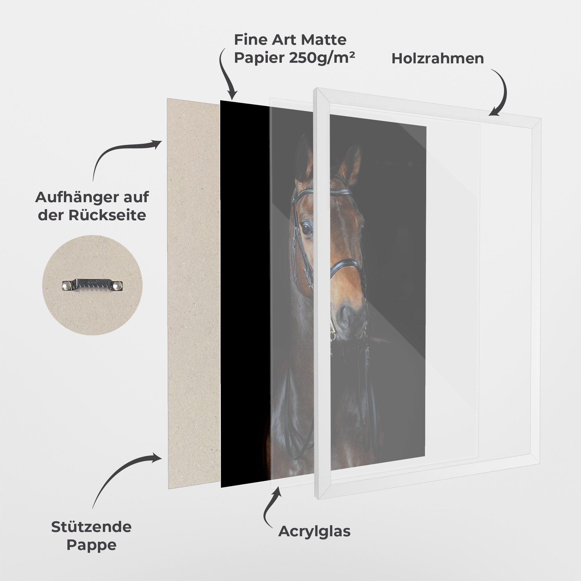 Brown Horse On Black mockup 1