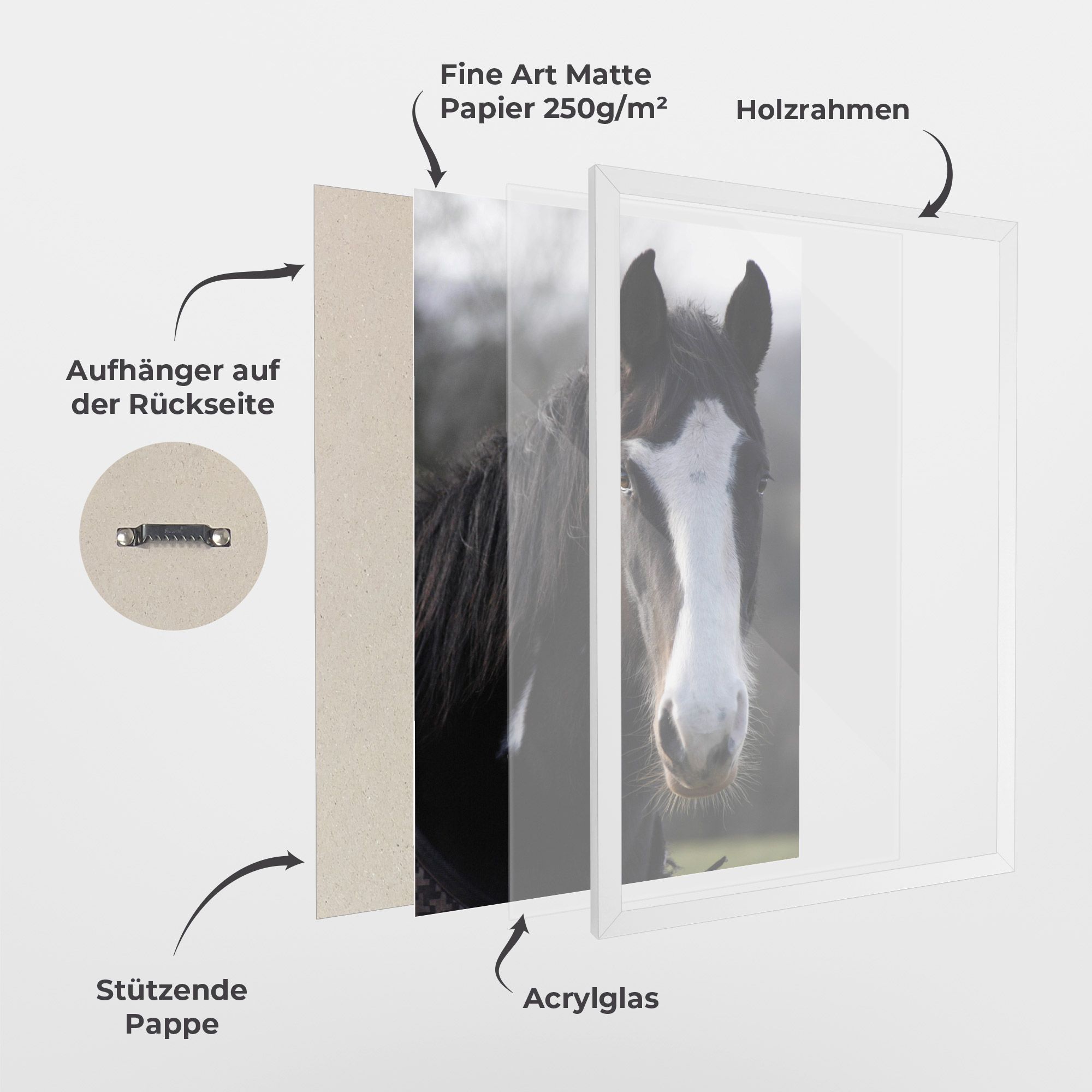 Horse Black Portrait mockup 1