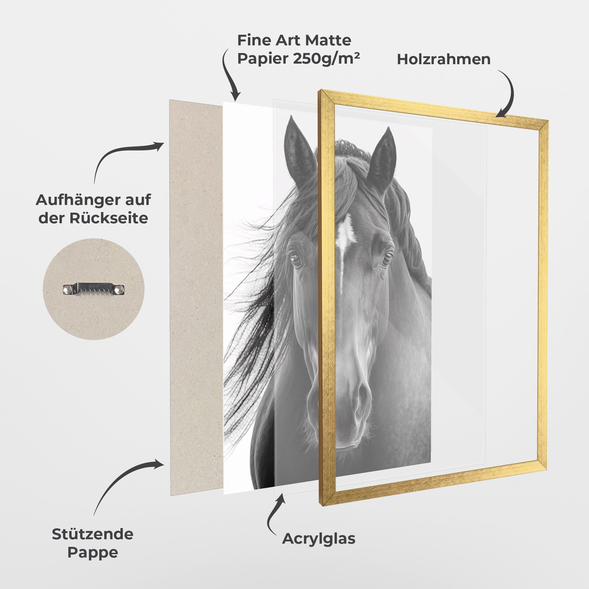 Close Up Horse mockup 1