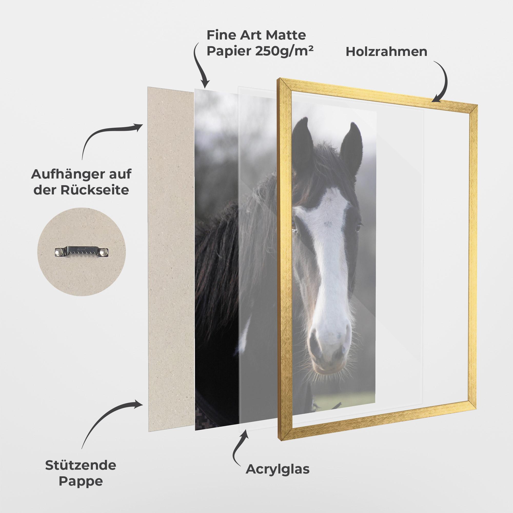 Gerahmte Poster Horse Black Portrait mockup 1