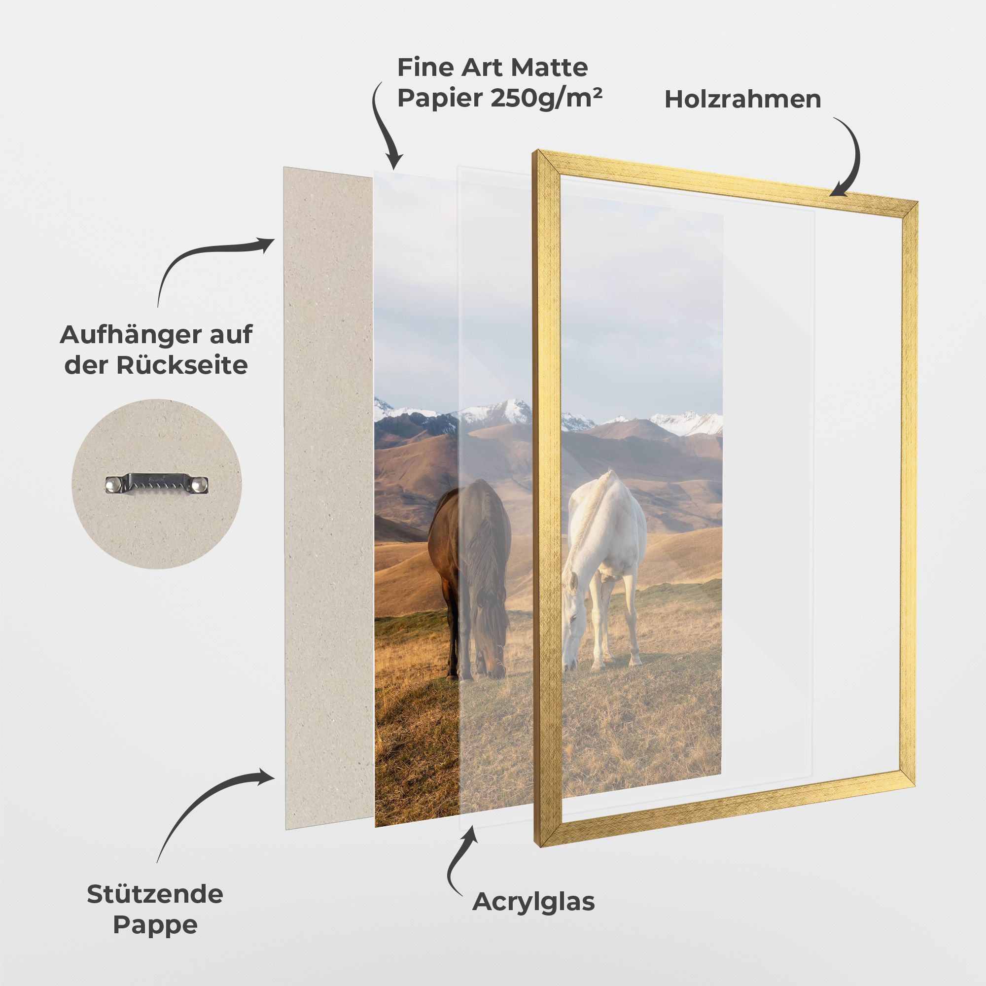 Mountain Horses mockup 1