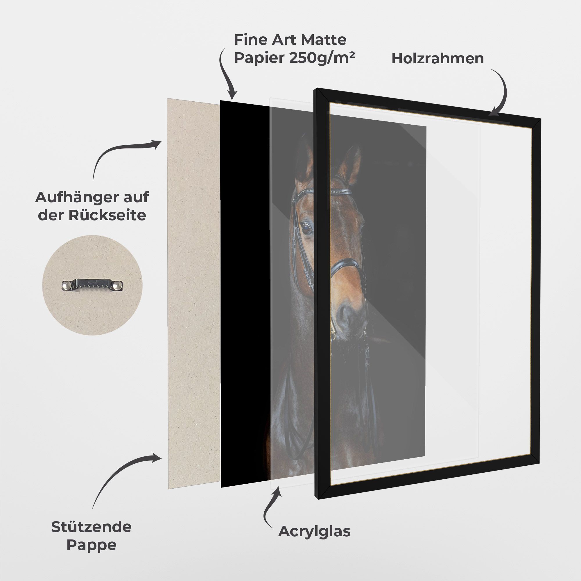 Brown Horse On Black mockup 1