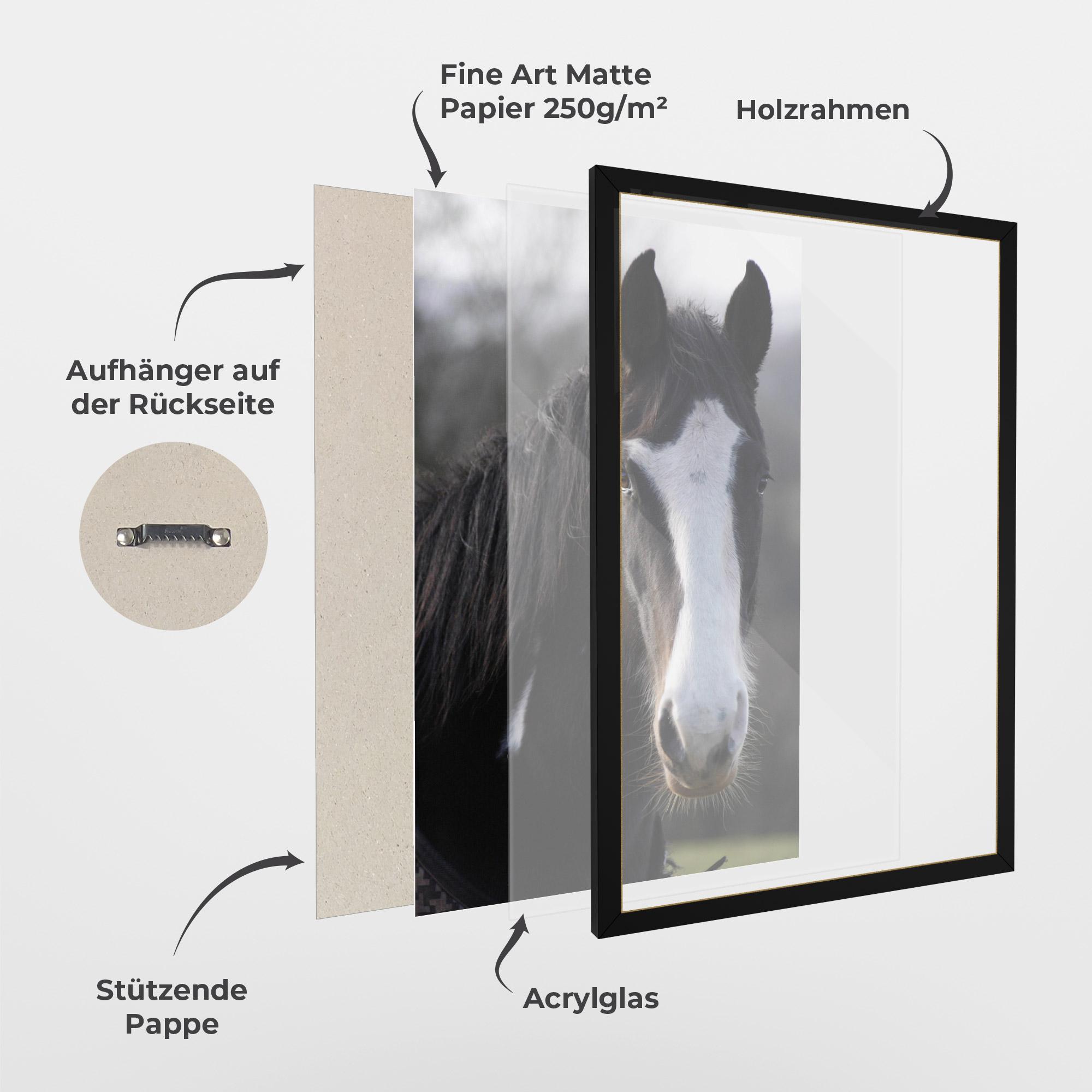 Gerahmte Poster Horse Black Portrait mockup 1