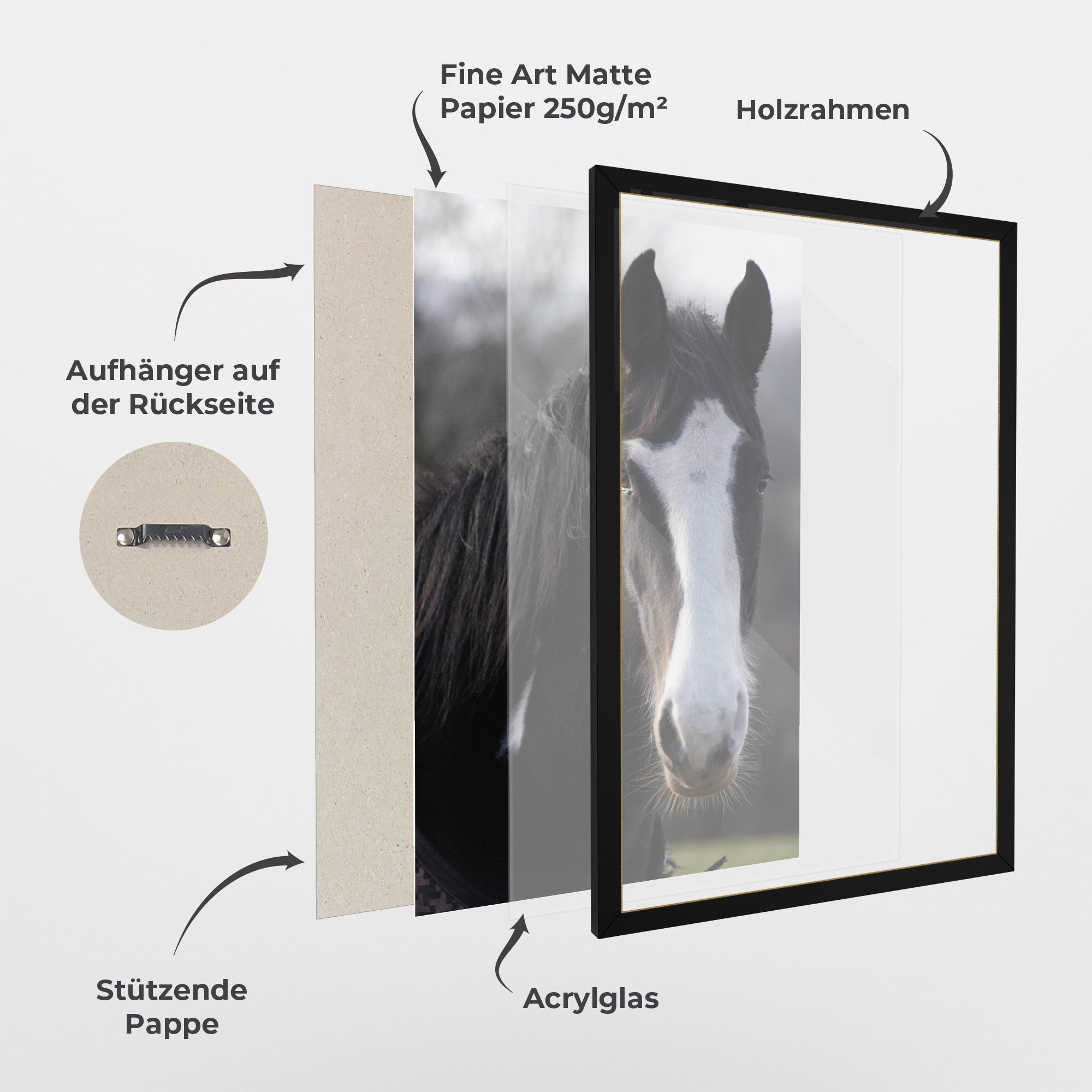 Horse Black Portrait mockup 1