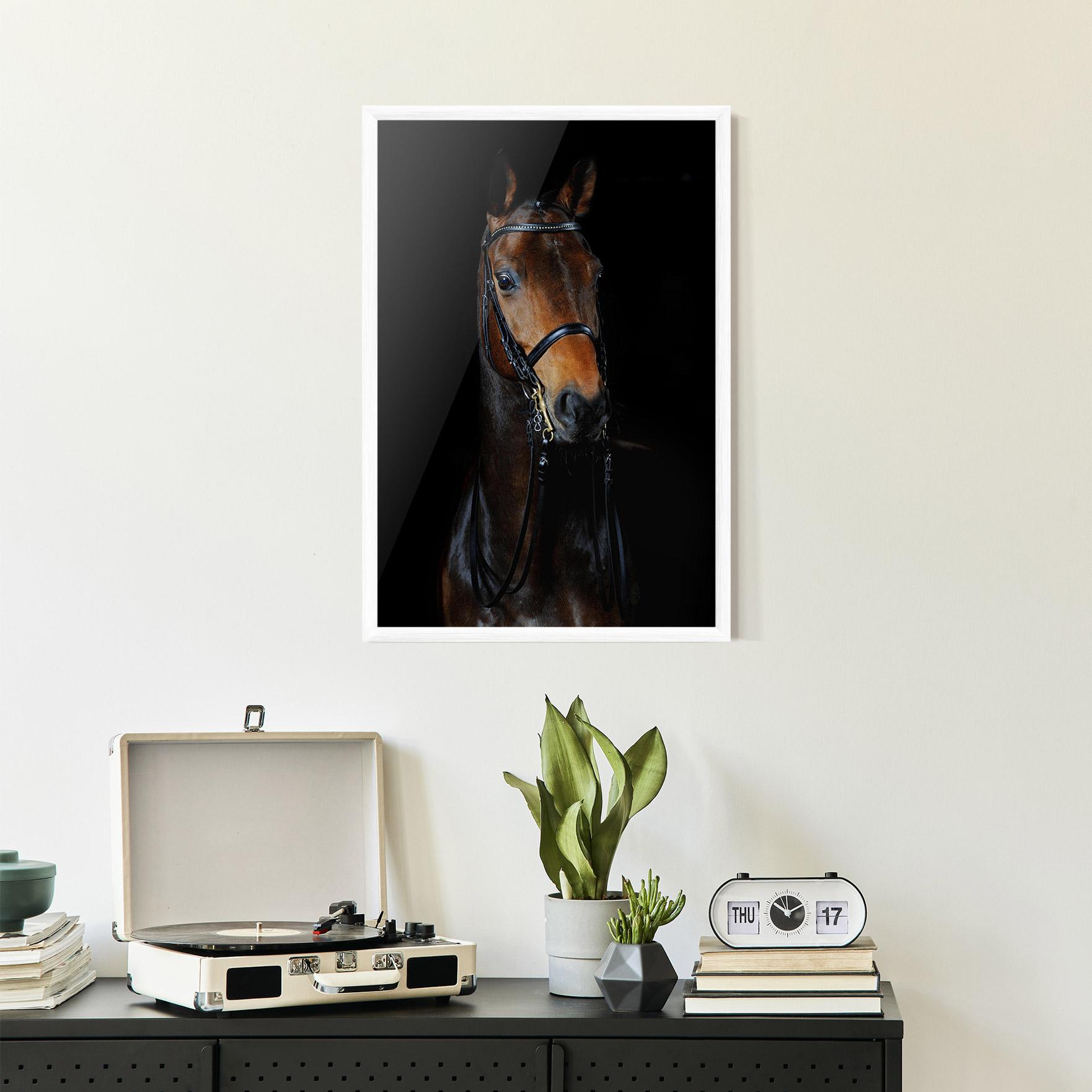 Gerahmte Poster Brown Horse On Black mockup 2