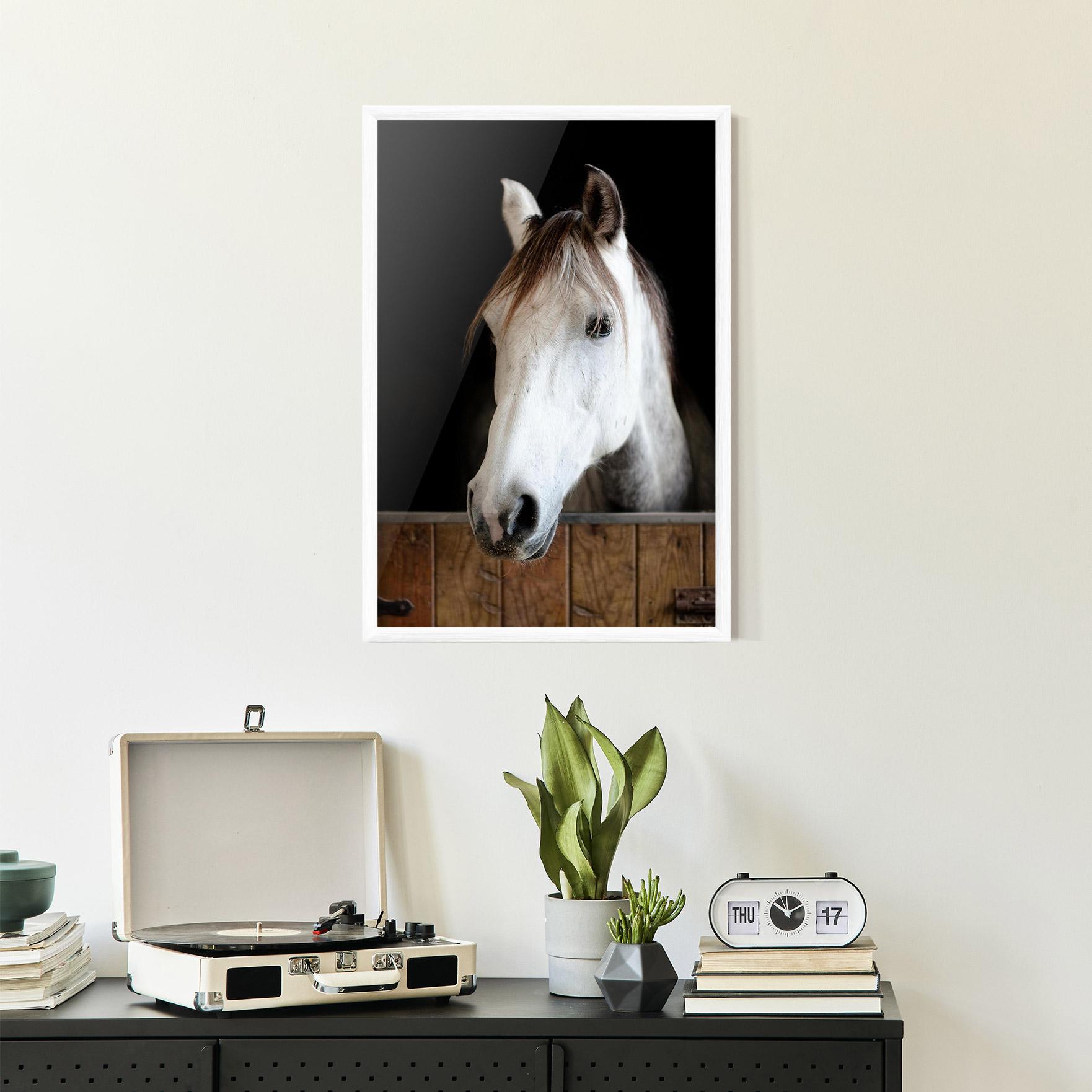 Gerahmte Poster Grey Horse Head mockup 2