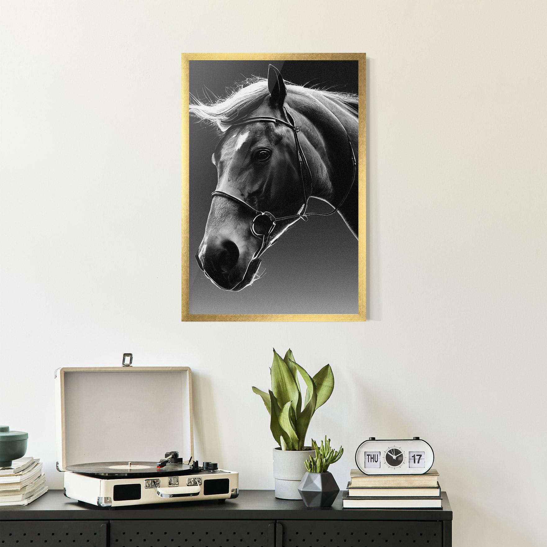 Gerahmte Poster Black Horse Profile mockup 2
