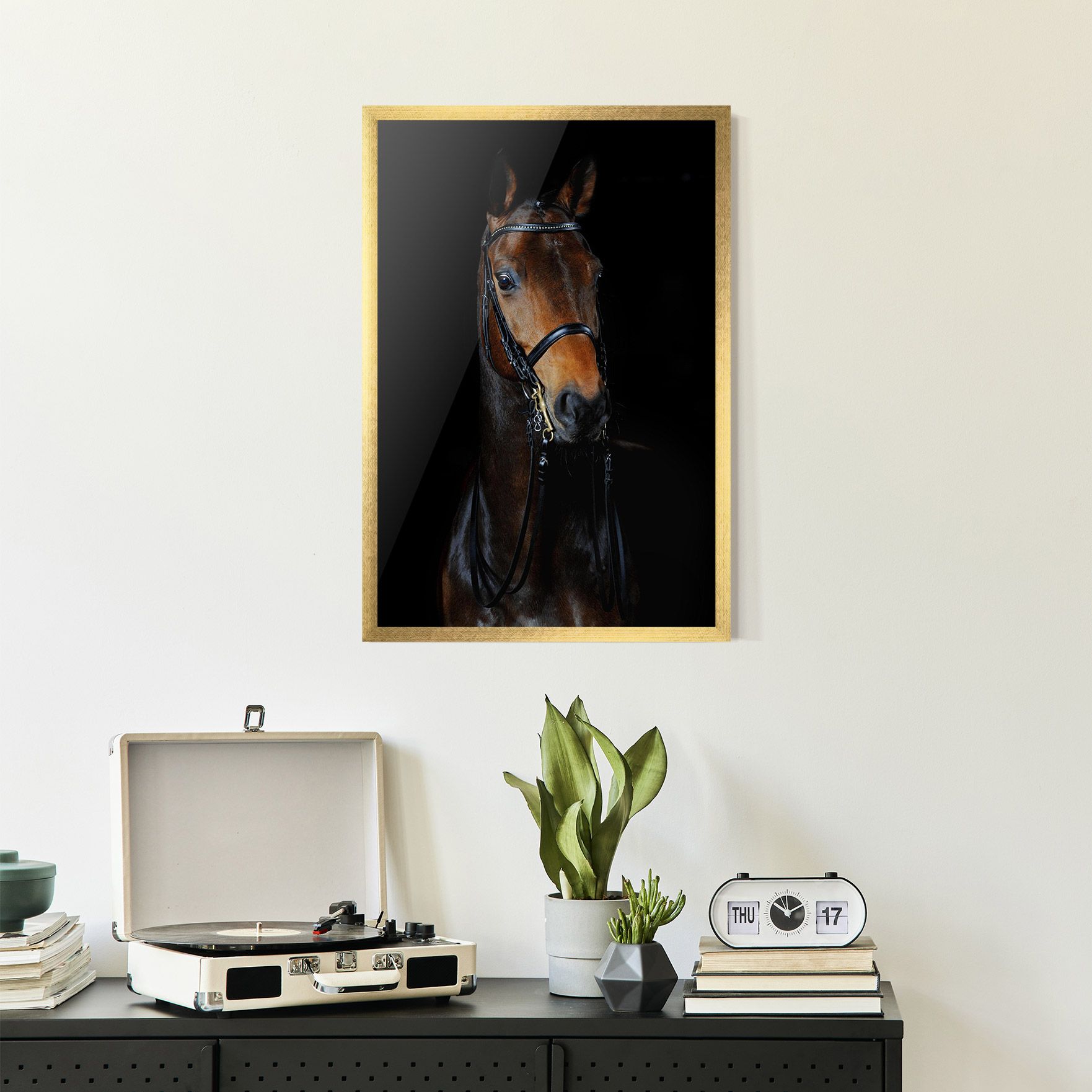 Brown Horse On Black mockup 2