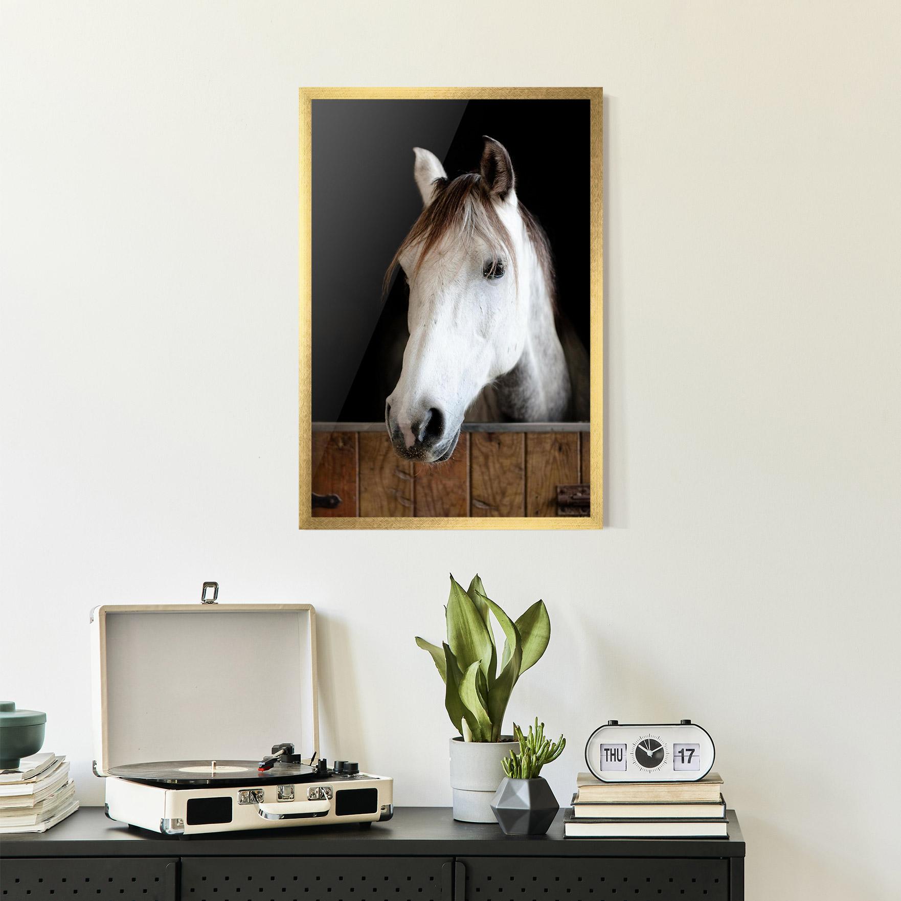 Gerahmte Poster Grey Horse Head mockup 2