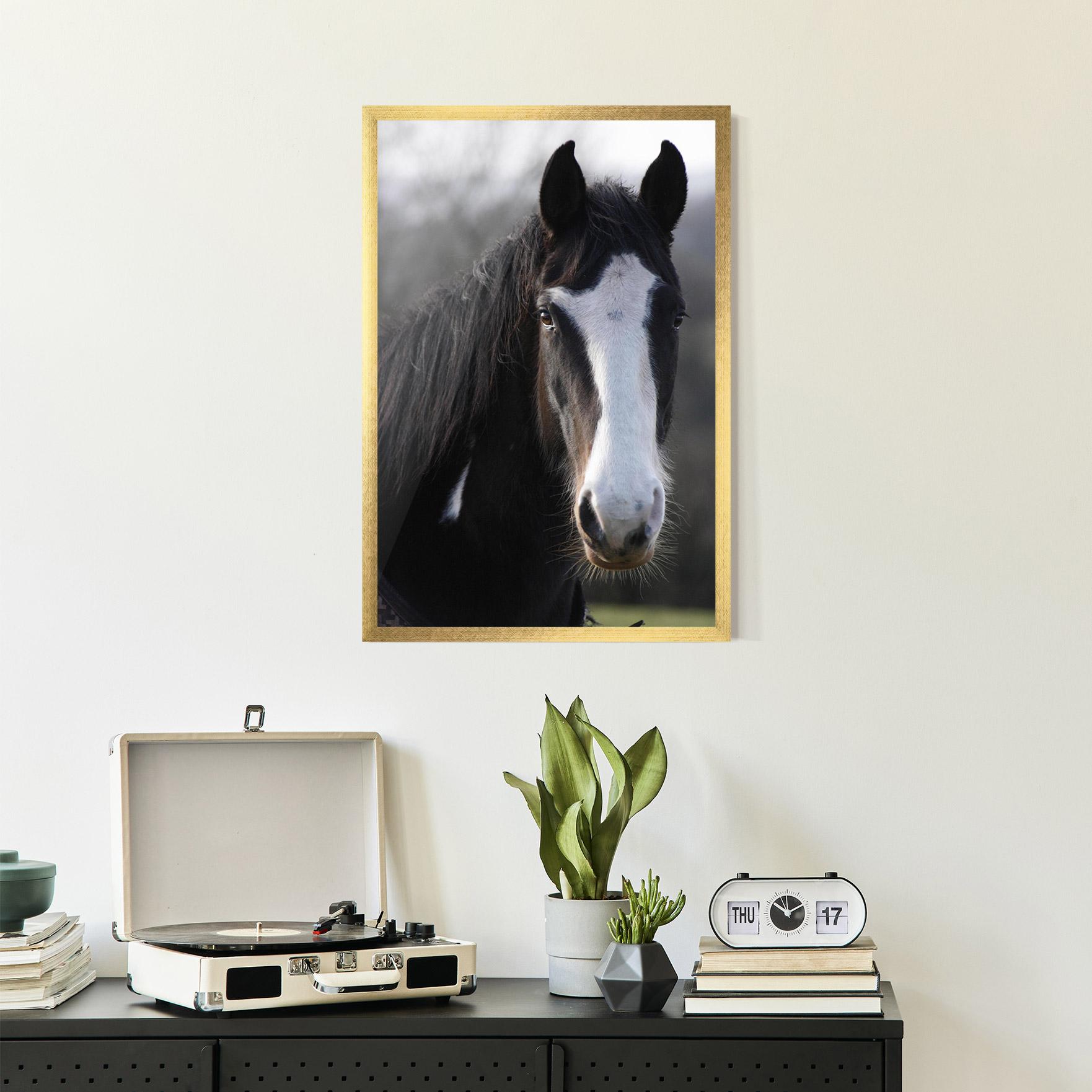 Gerahmte Poster Horse Black Portrait mockup 2