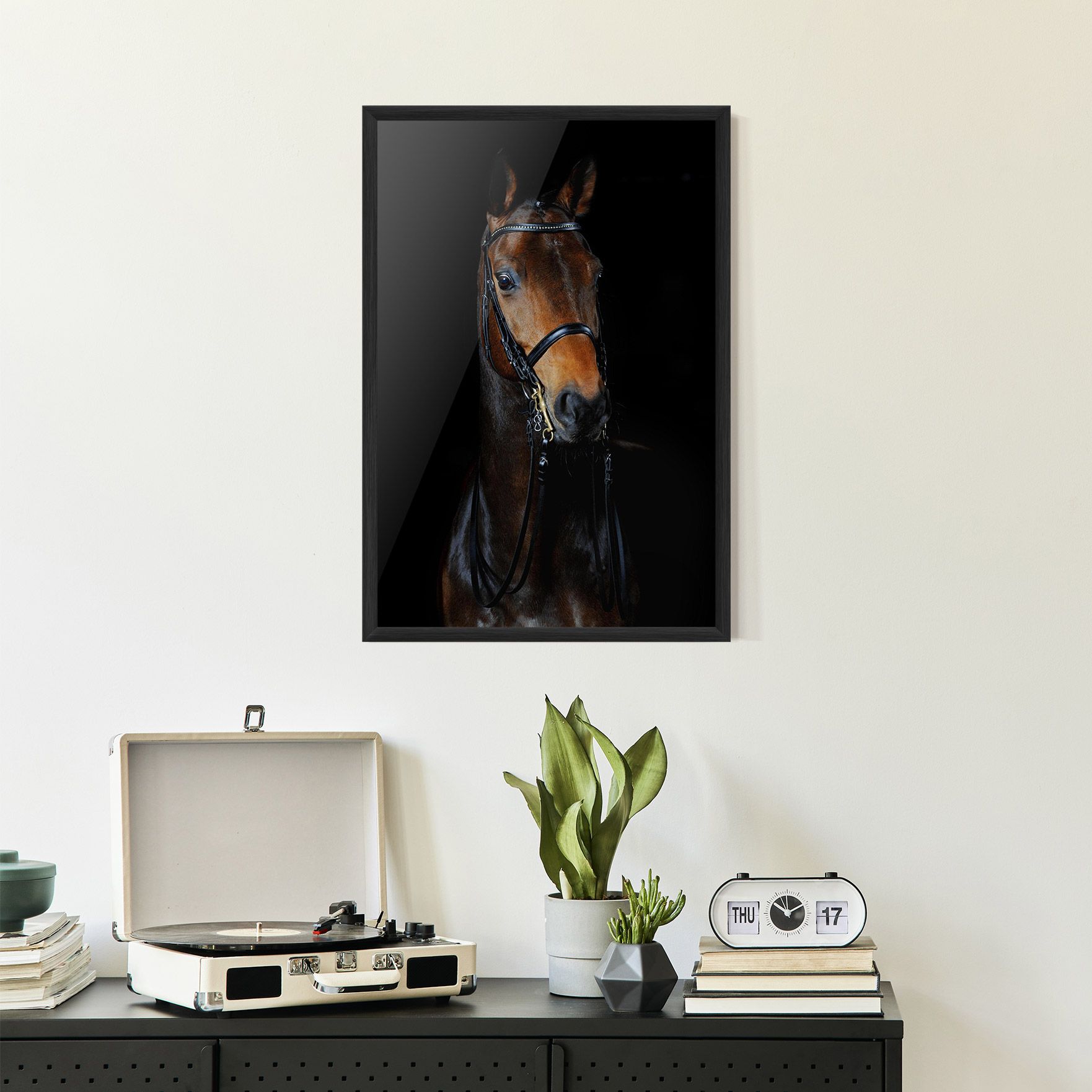 Brown Horse On Black mockup 2