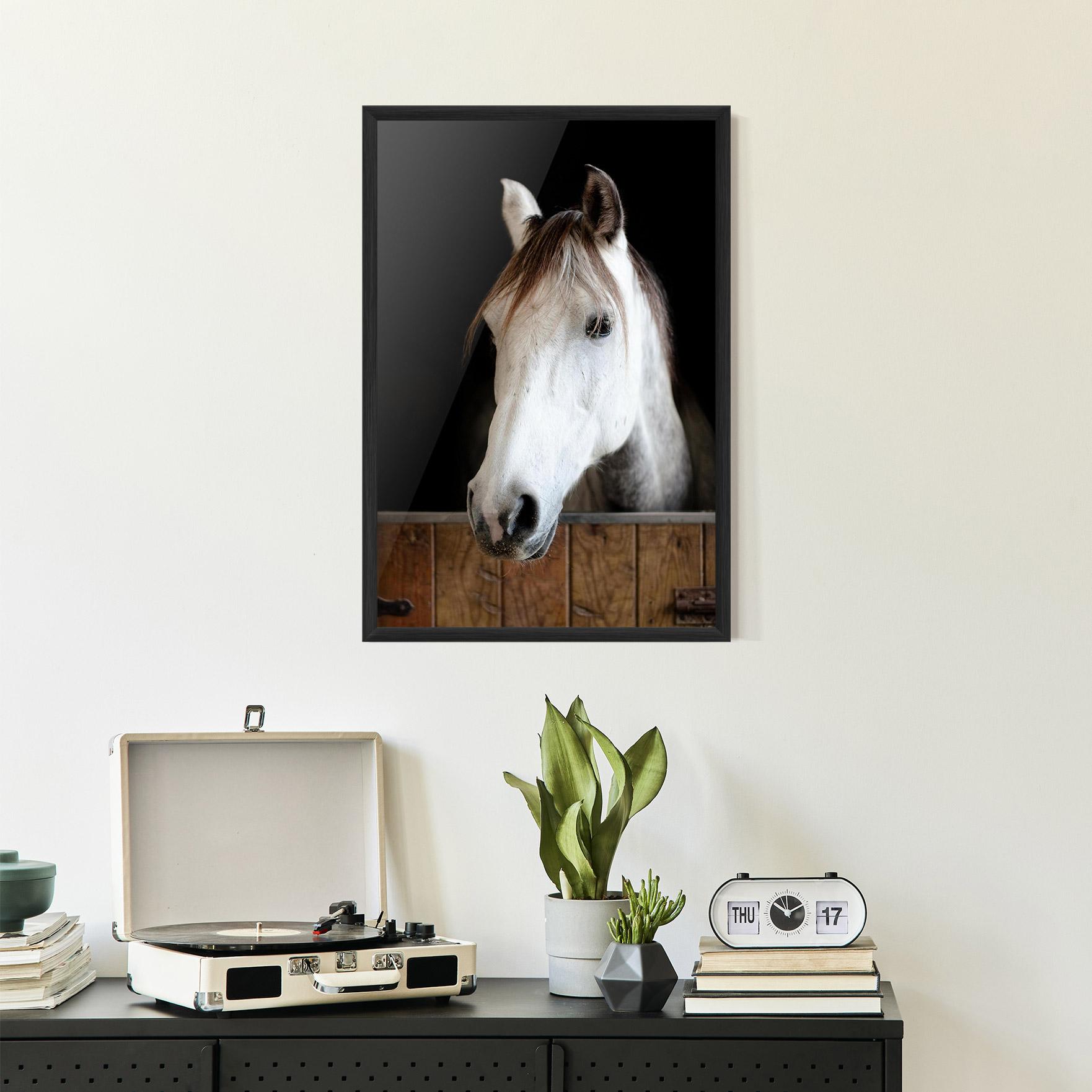 Gerahmte Poster Grey Horse Head mockup 2