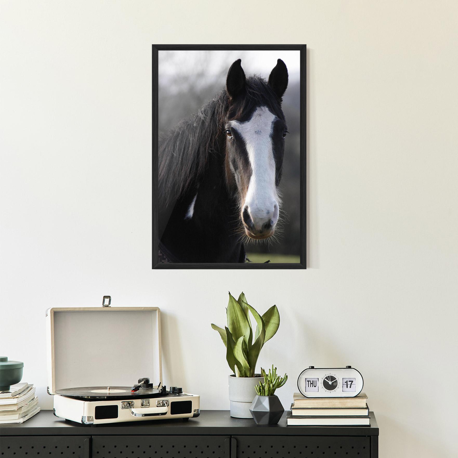 Gerahmte Poster Horse Black Portrait mockup 2
