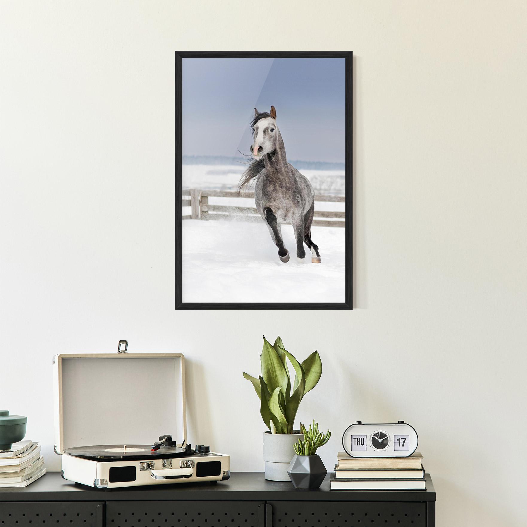 Gerahmte Poster Horse Running Free mockup 2