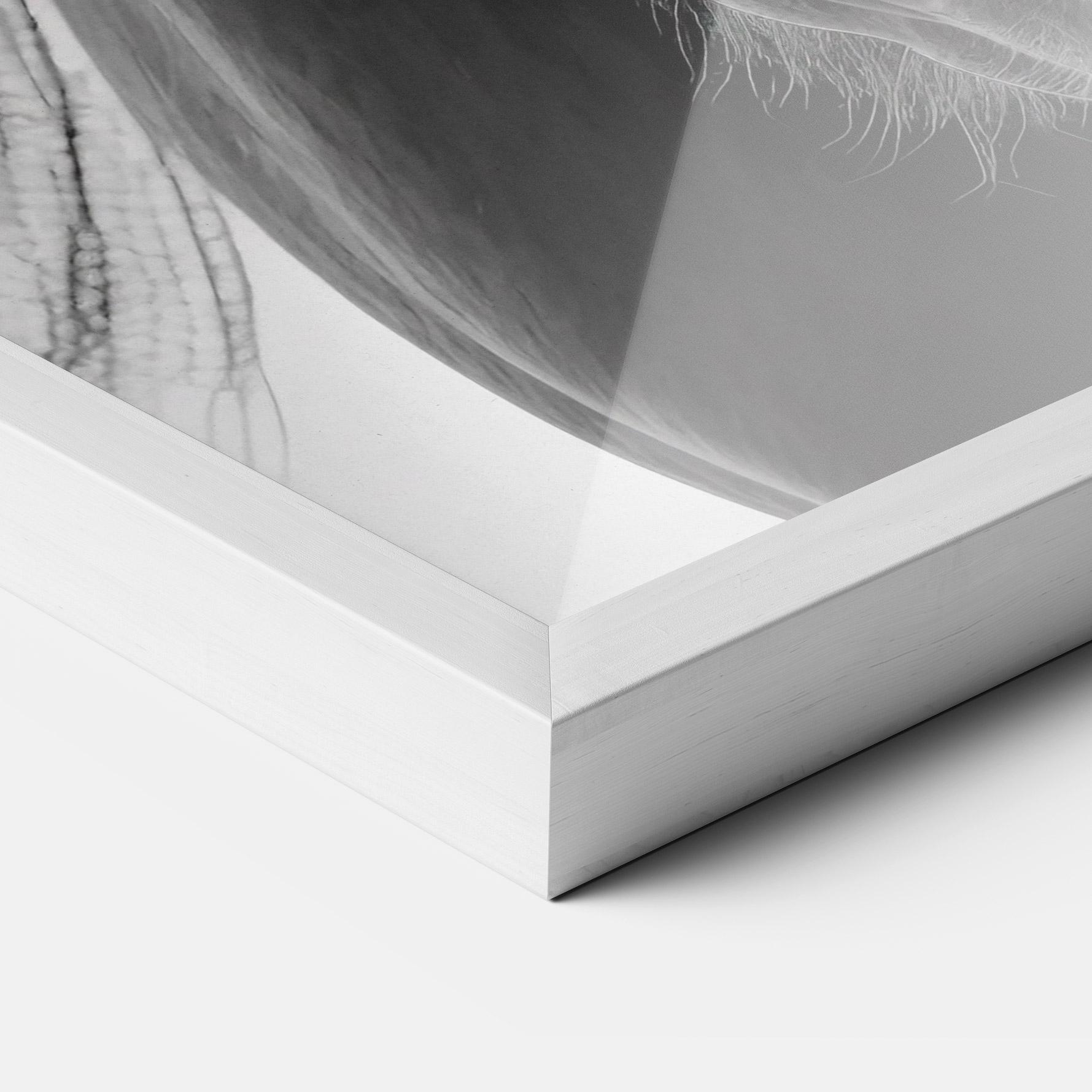 Gerahmte Poster Close Up Horse mockup 3