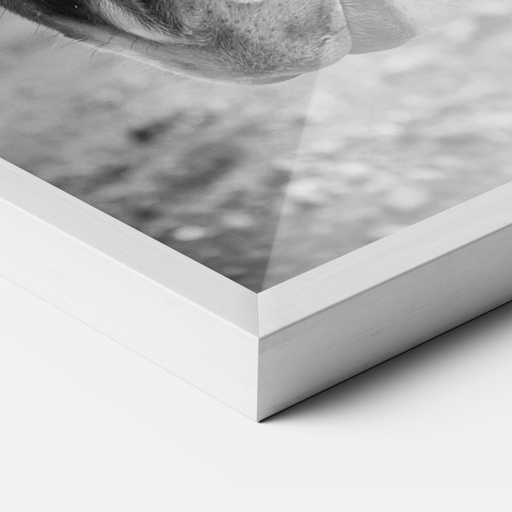 Gerahmte Poster Gray Horse Head mockup 3