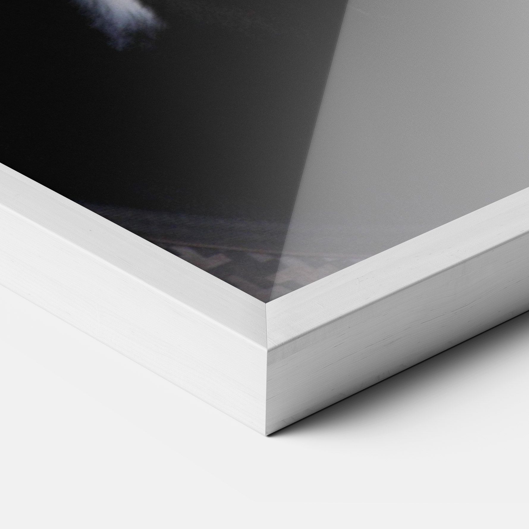 Horse Black Portrait mockup 3