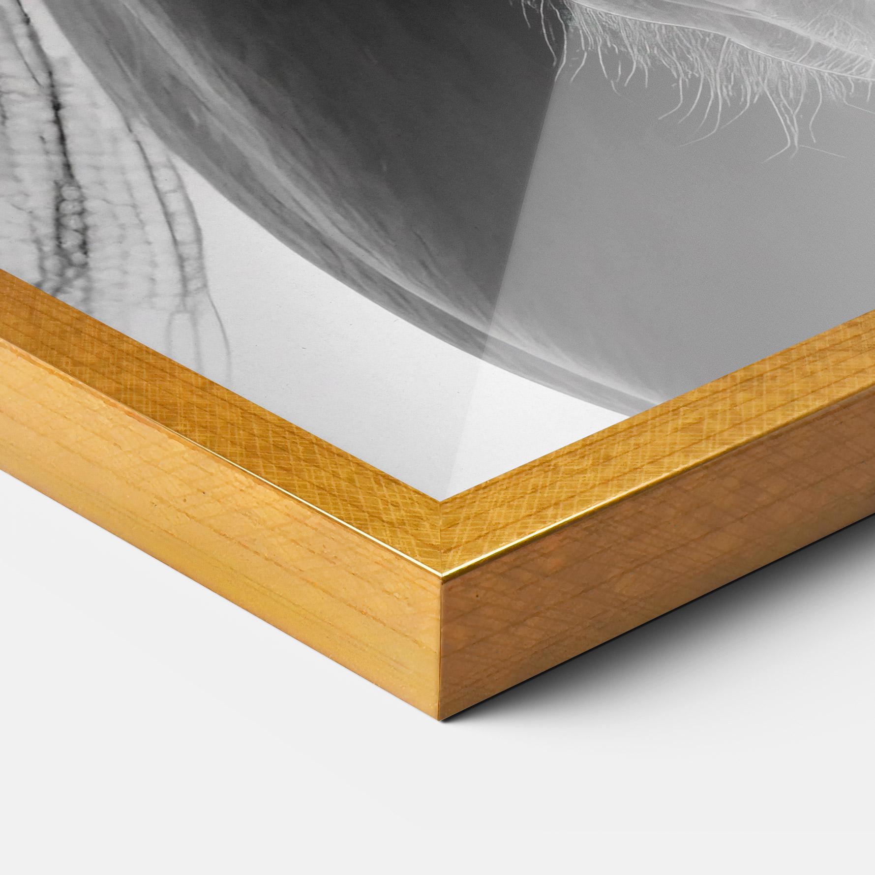 Gerahmte Poster Close Up Horse mockup 3