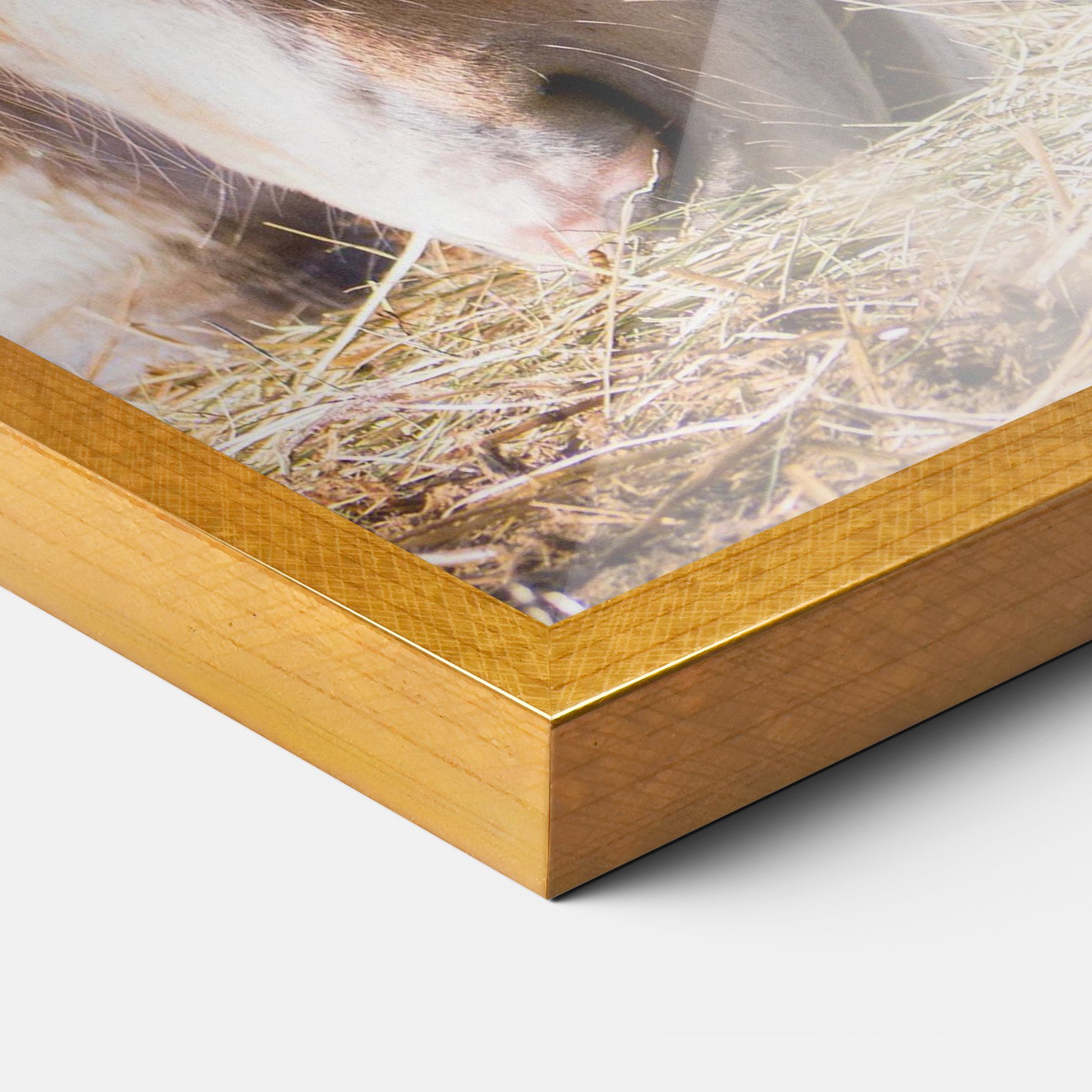 Cream Horse Eating mockup 3