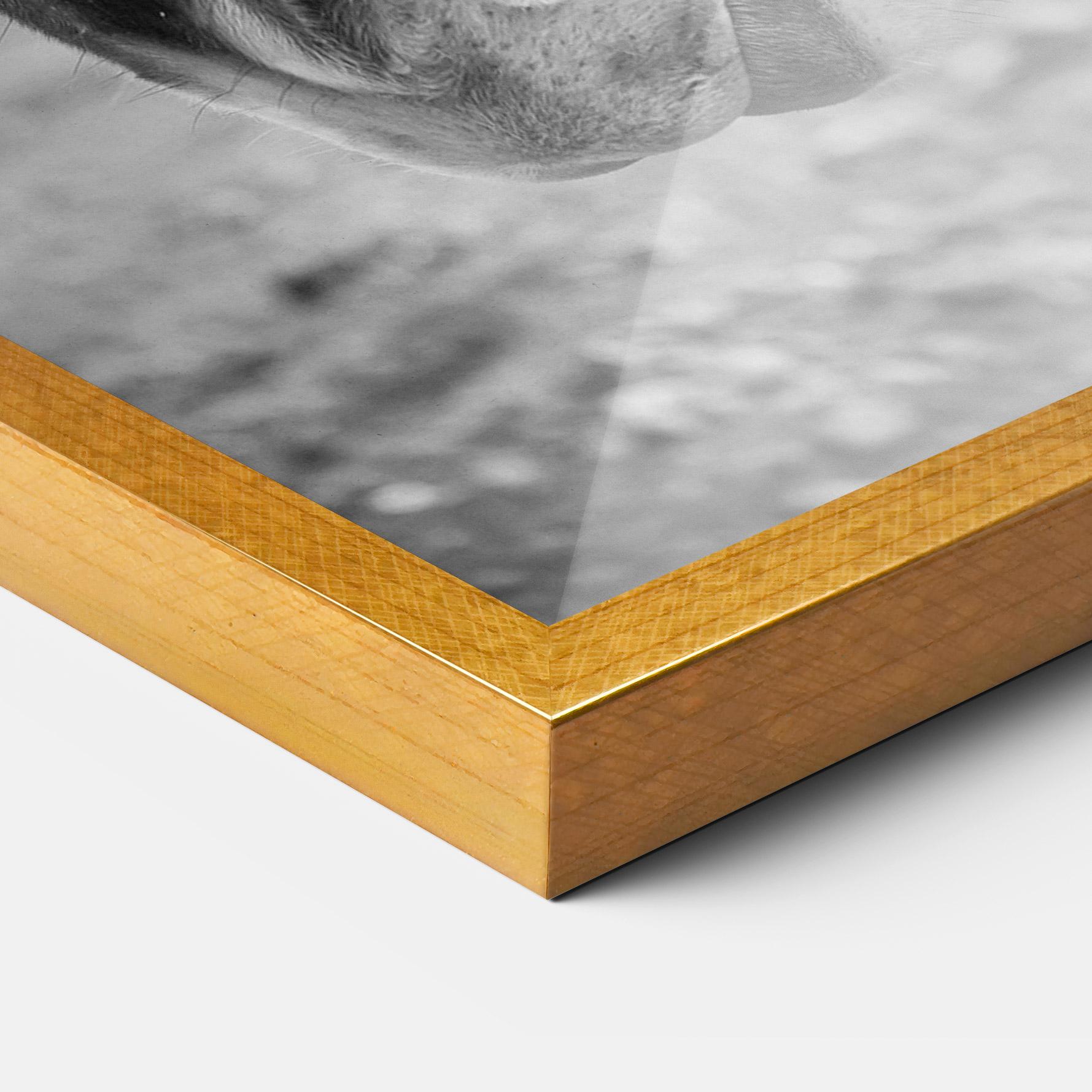 Gerahmte Poster Gray Horse Head mockup 3