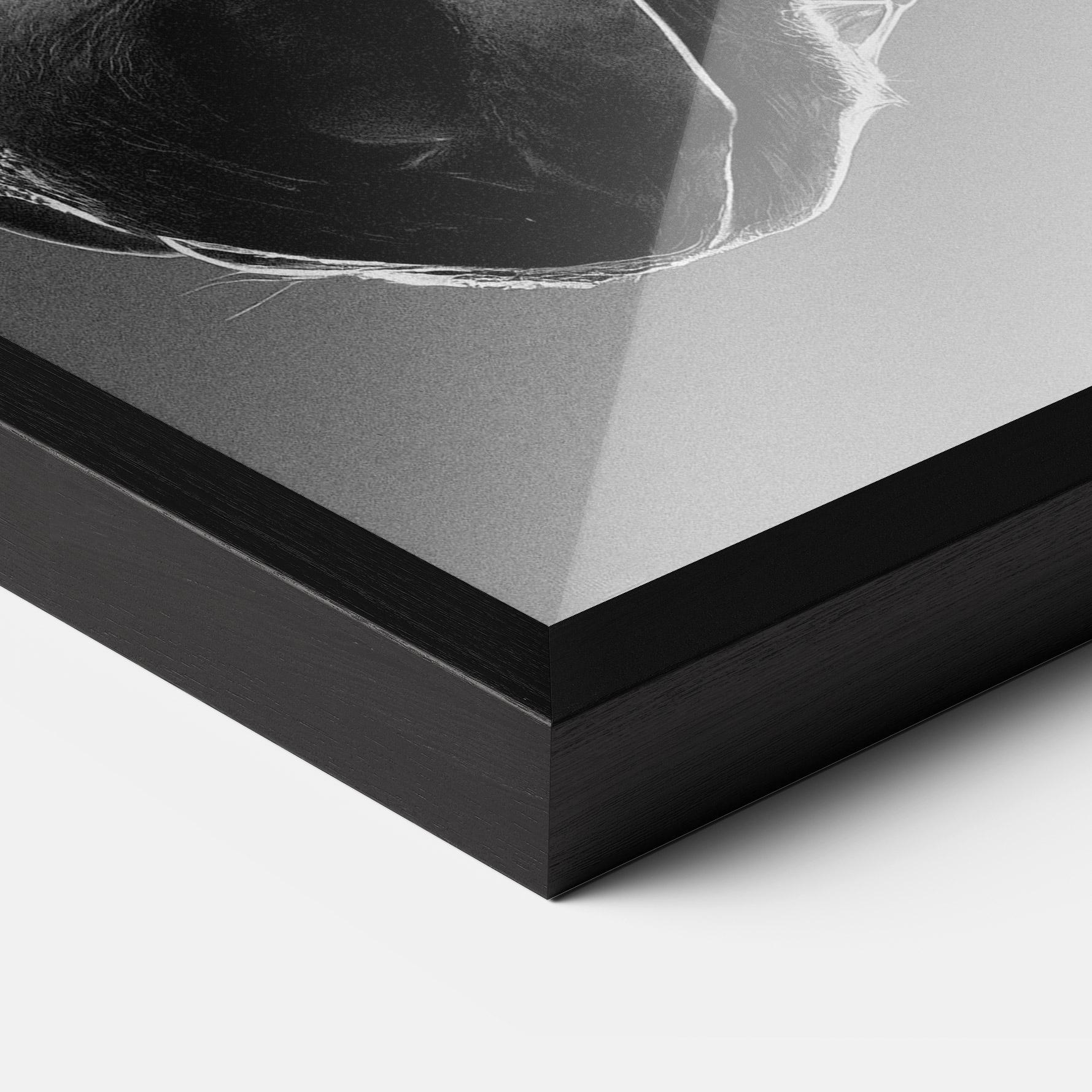 Gerahmte Poster Black Horse Profile mockup 3