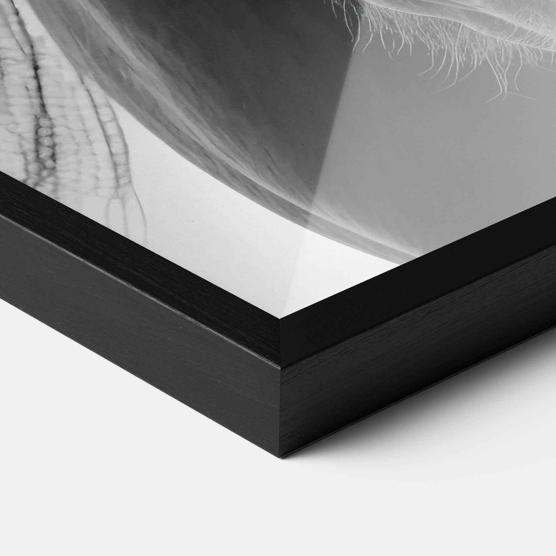 Gerahmte Poster Close Up Horse mockup 3