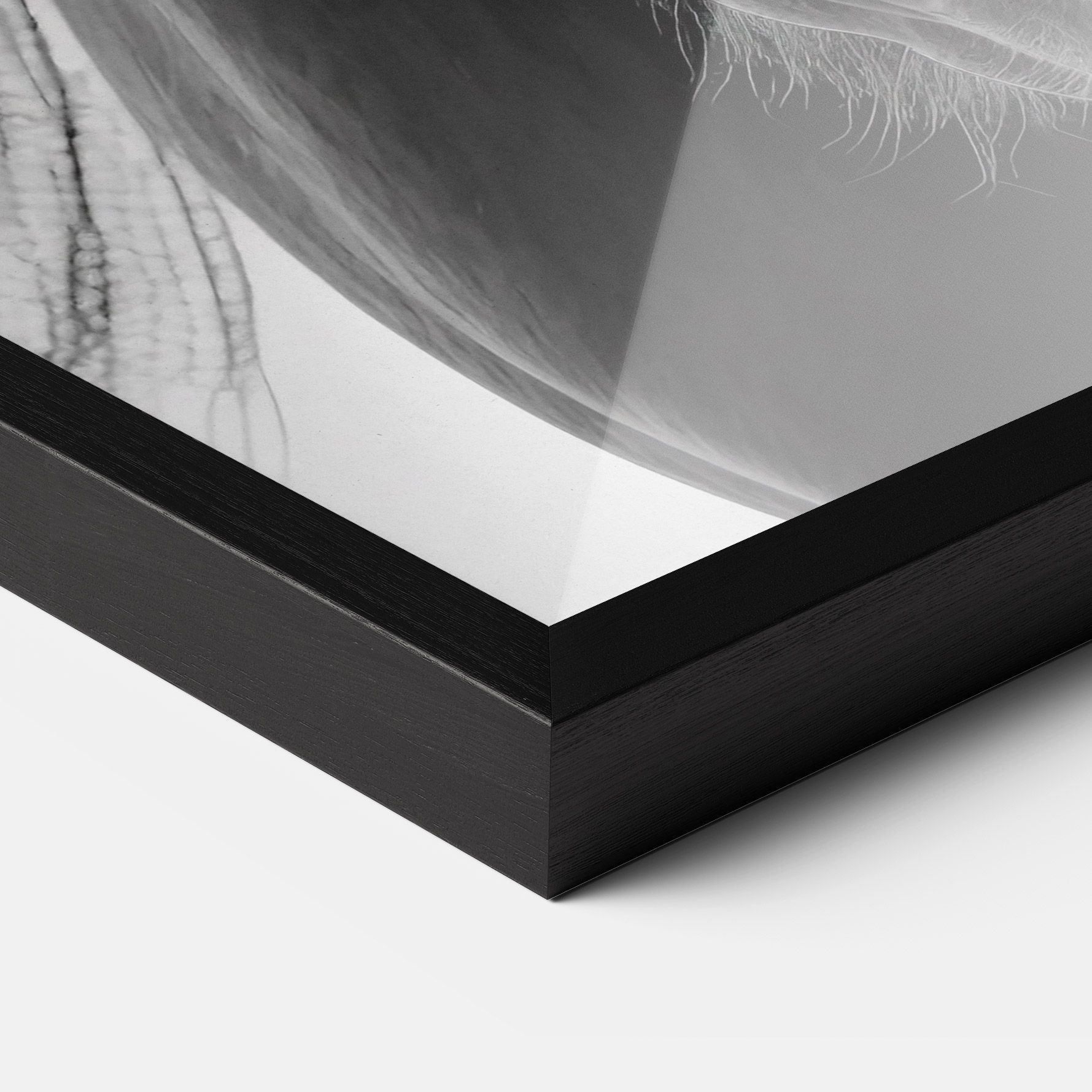 Close Up Horse mockup 3