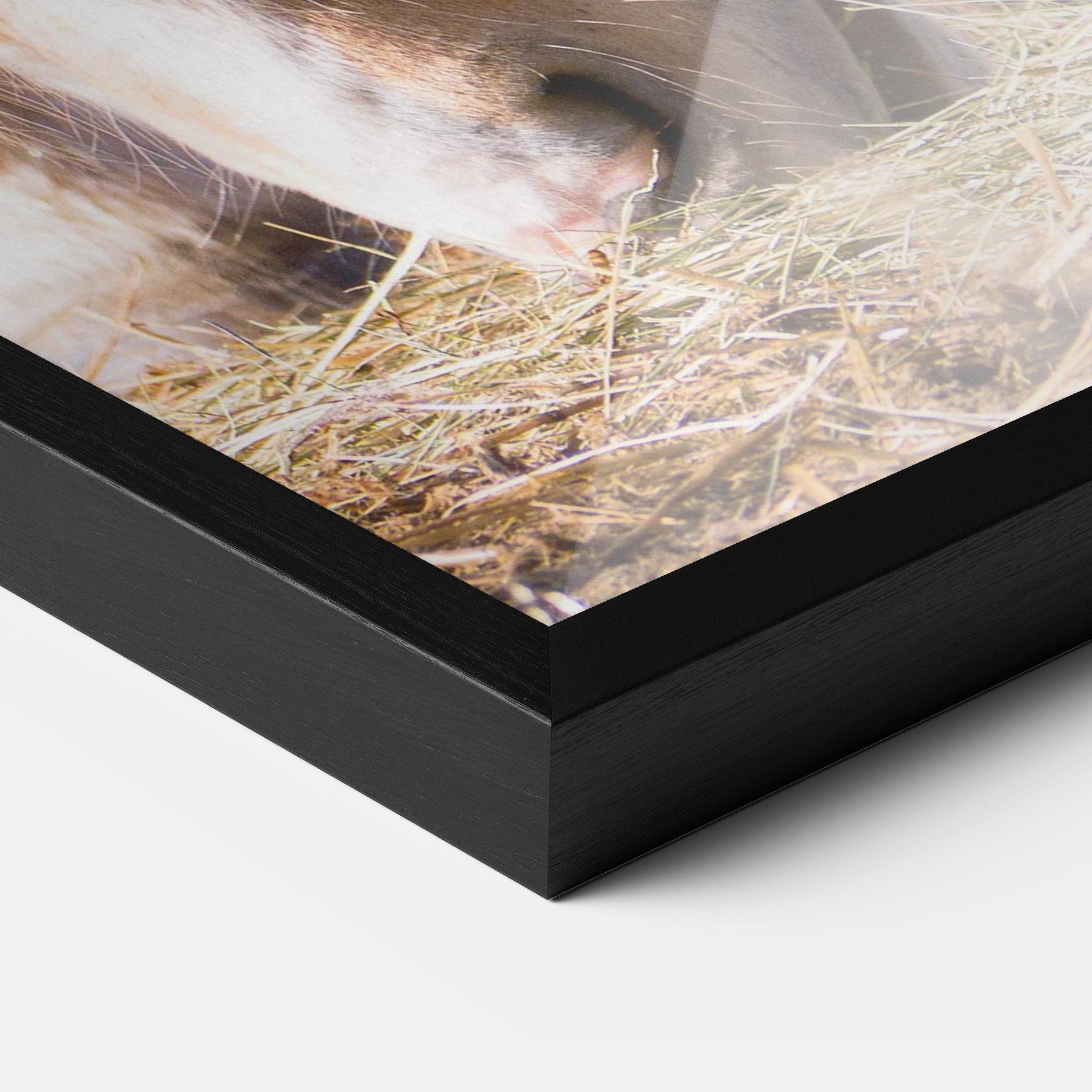 Gerahmte Poster Cream Horse Eating mockup 3