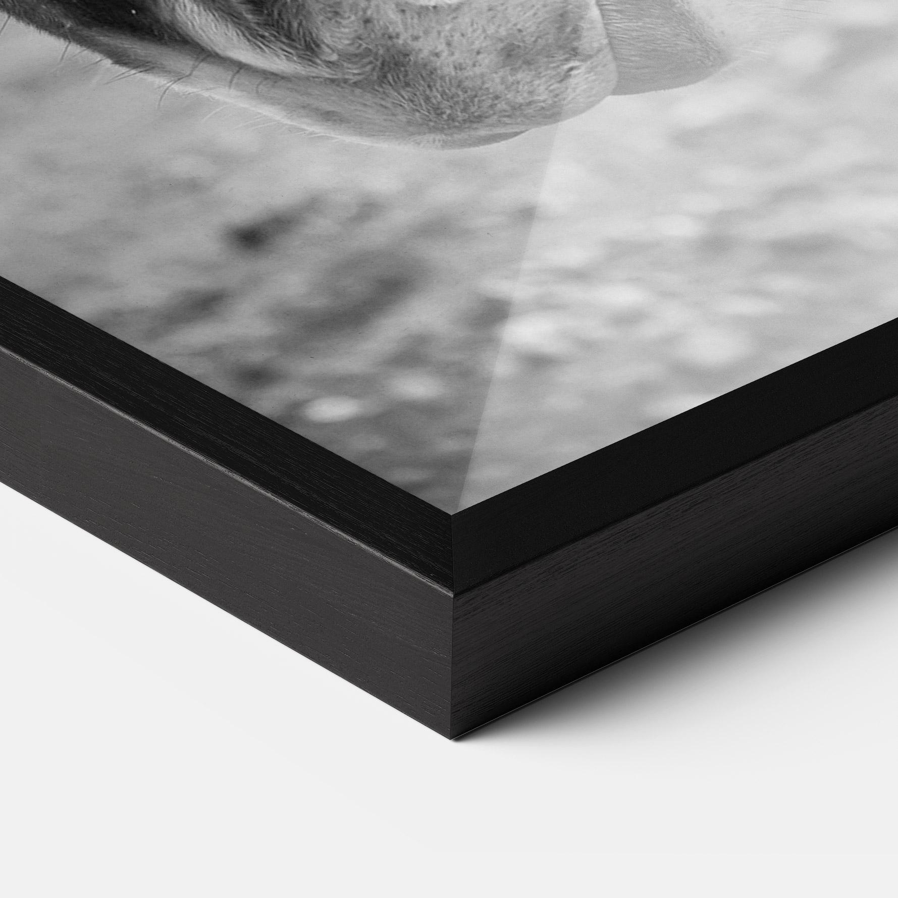 Gerahmte Poster Gray Horse Head mockup 3