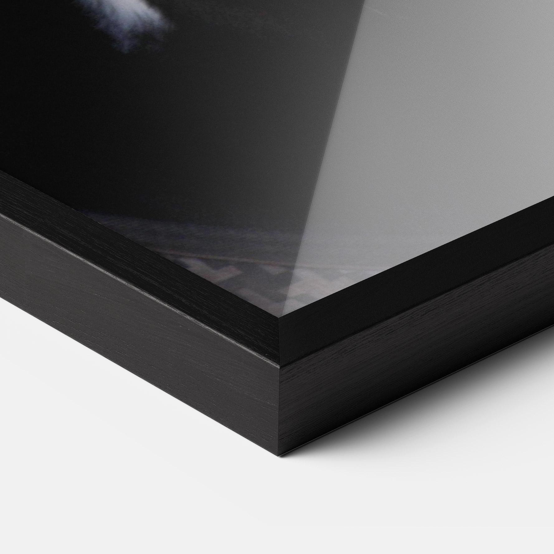 Gerahmte Poster Horse Black Portrait mockup 3