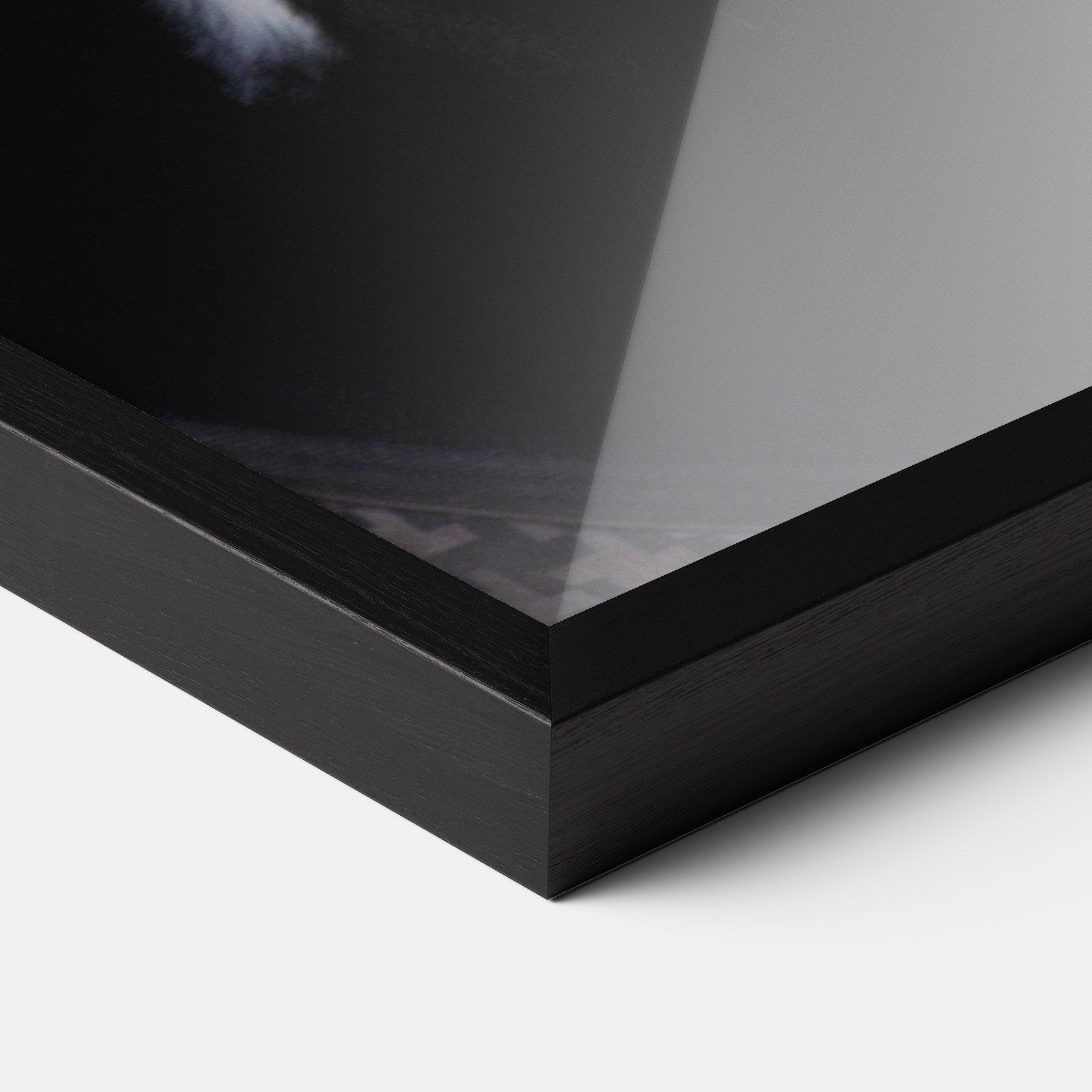 Horse Black Portrait mockup 3