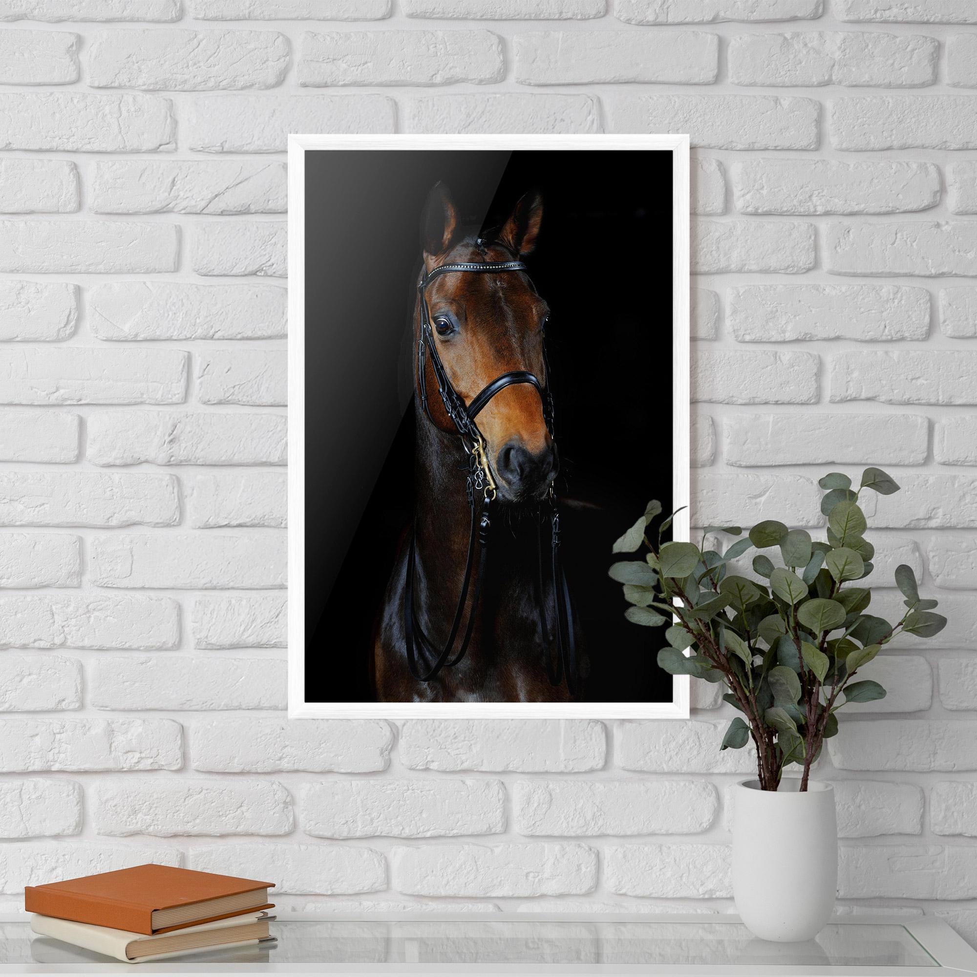 Gerahmte Poster Brown Horse On Black mockup 5