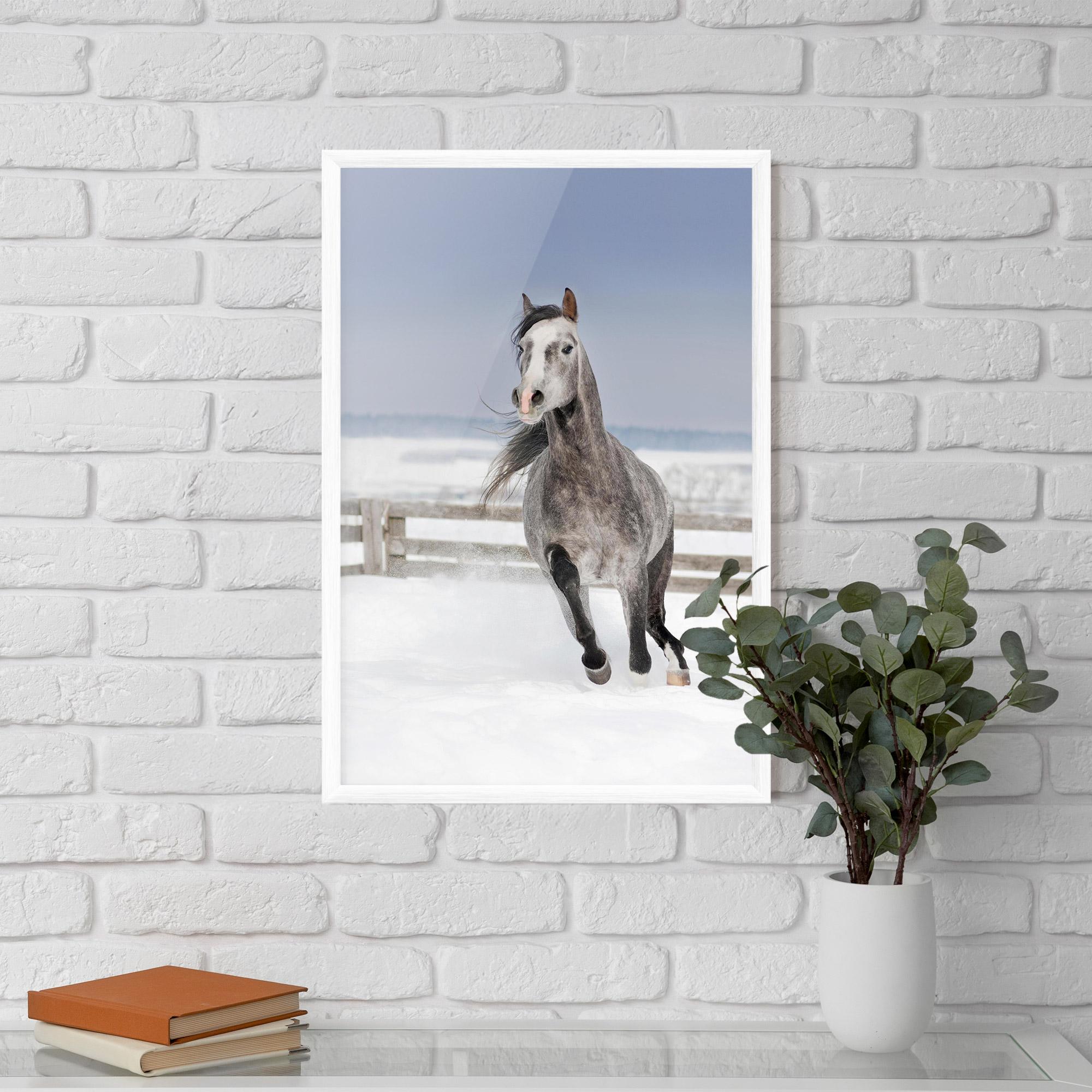 Gerahmte Poster Horse Running Free mockup 5
