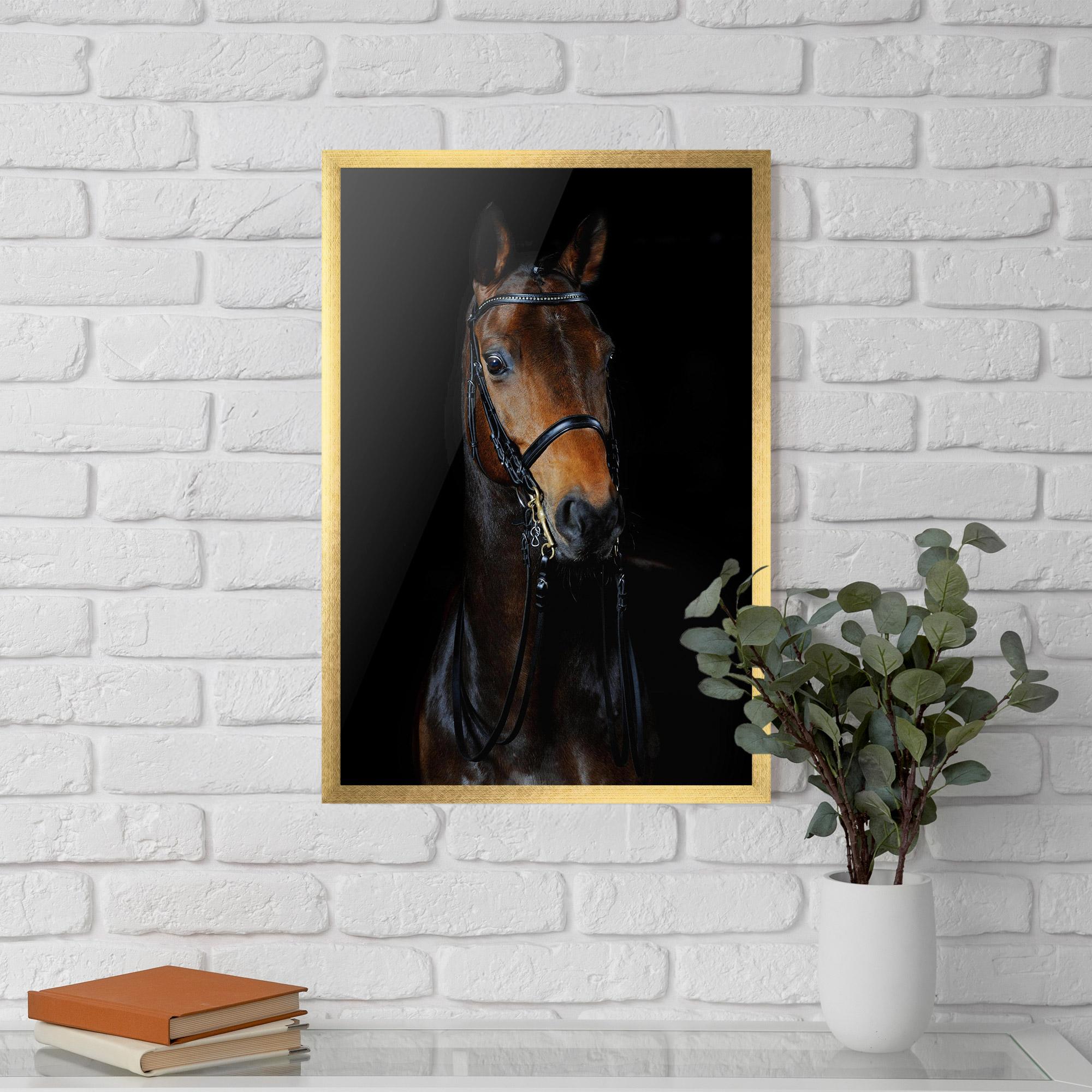 Gerahmte Poster Brown Horse On Black mockup 5