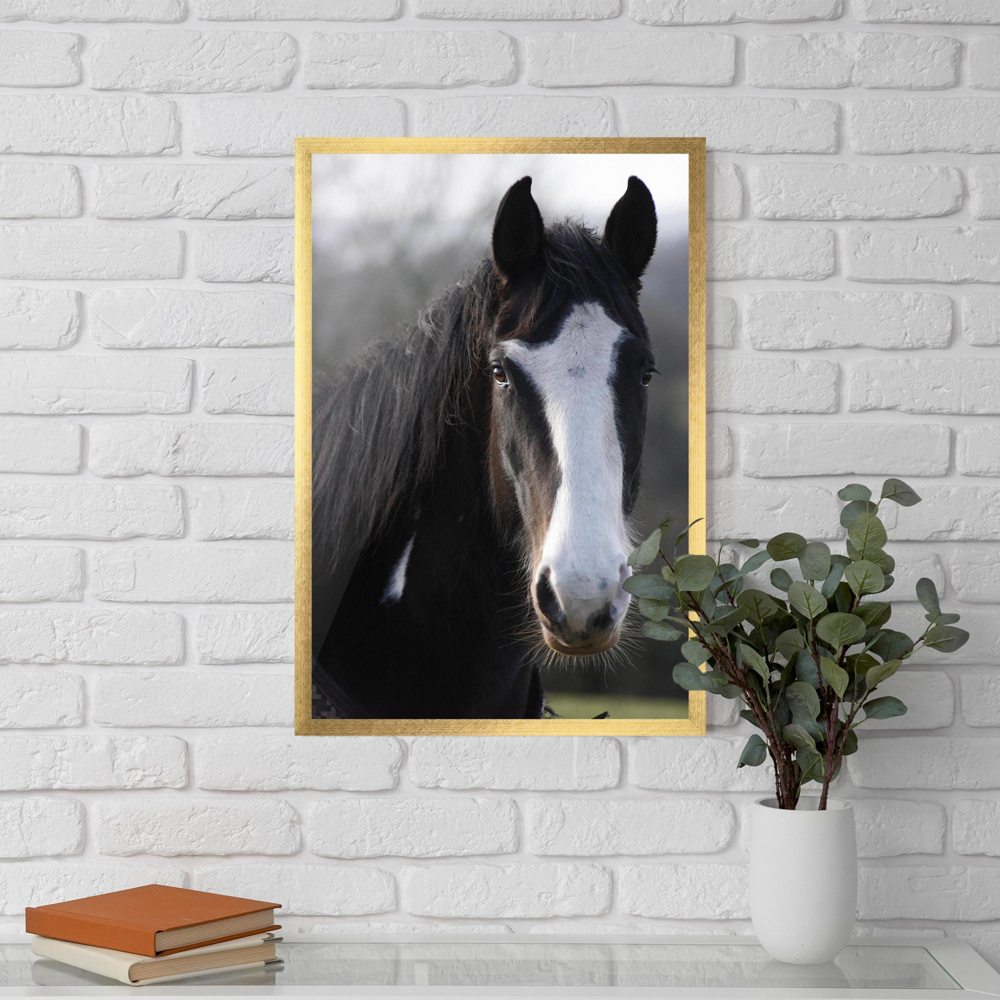 Gerahmte Poster Horse Black Portrait mockup 5