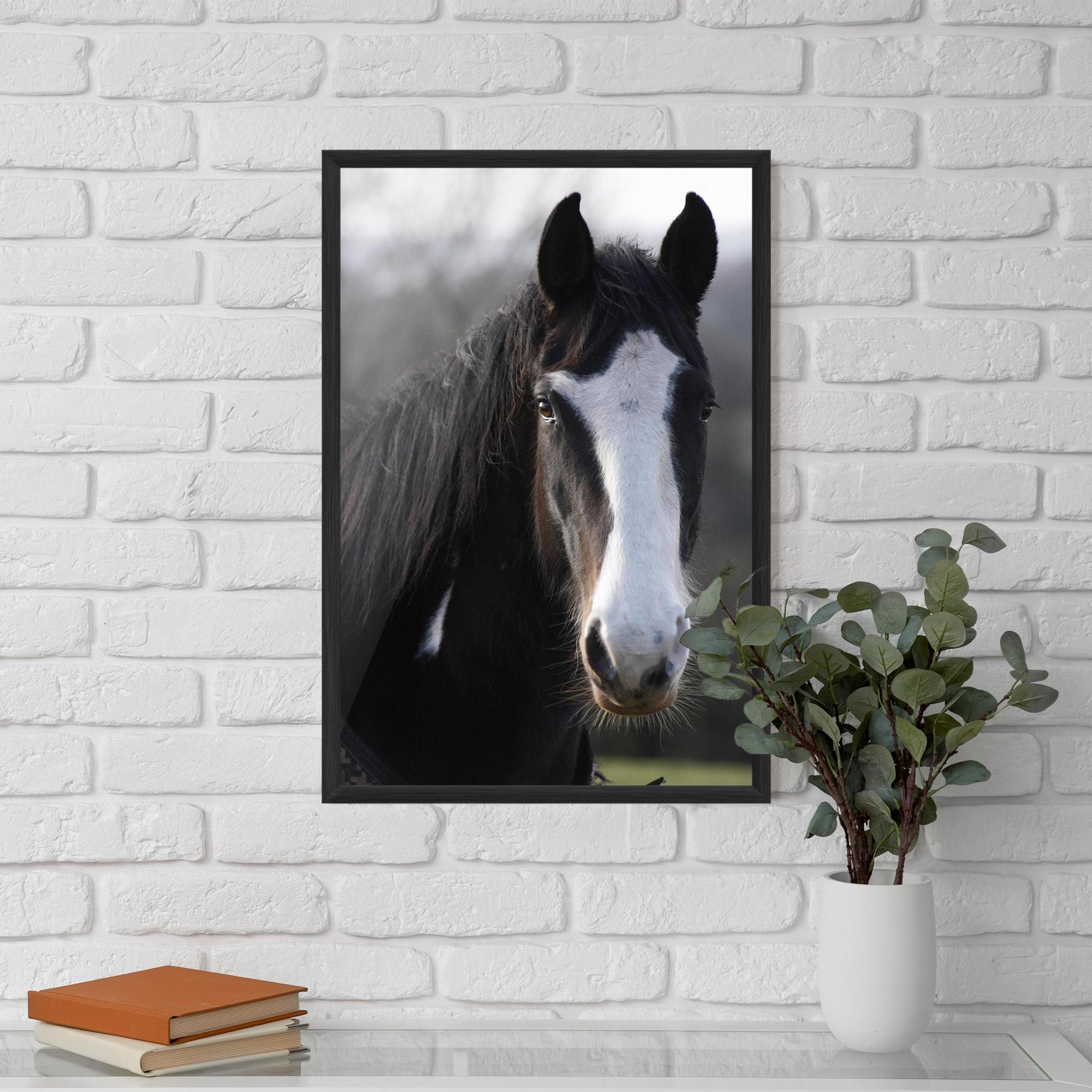 Gerahmte Poster Horse Black Portrait mockup 5