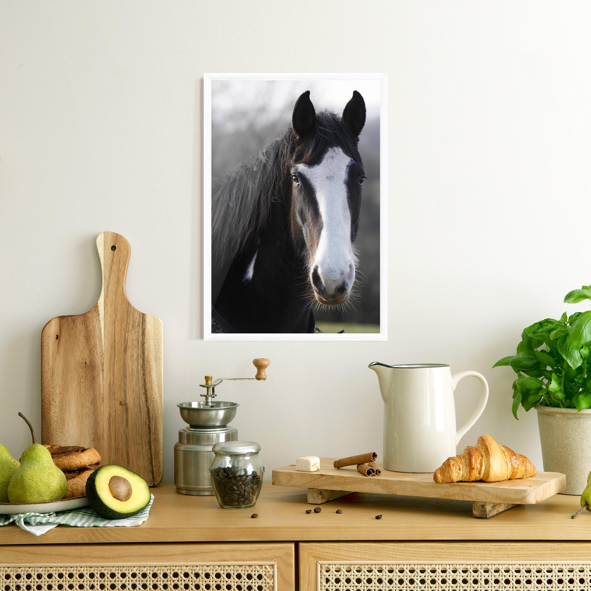 Gerahmte Poster Horse Black Portrait mockup 8