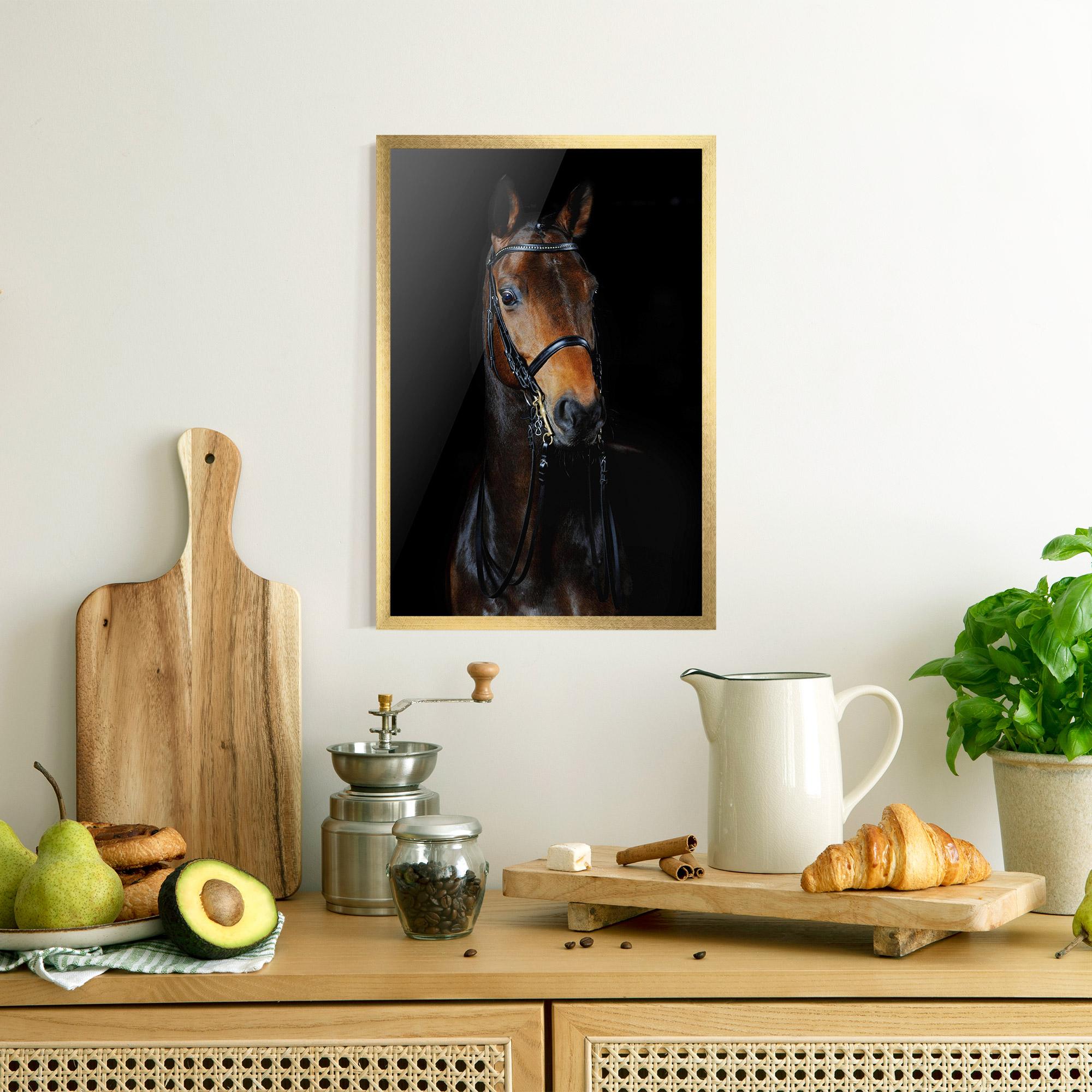 Gerahmte Poster Brown Horse On Black mockup 8