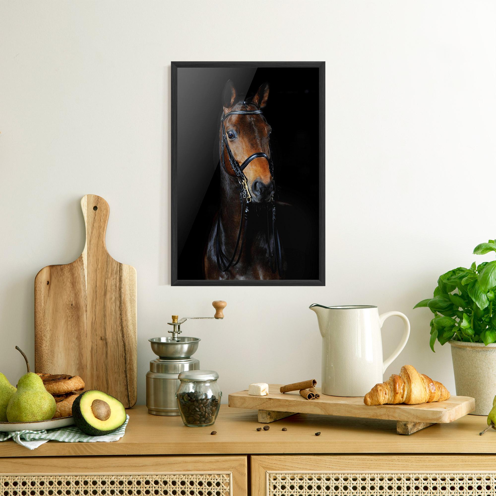 Gerahmte Poster Brown Horse On Black mockup 8