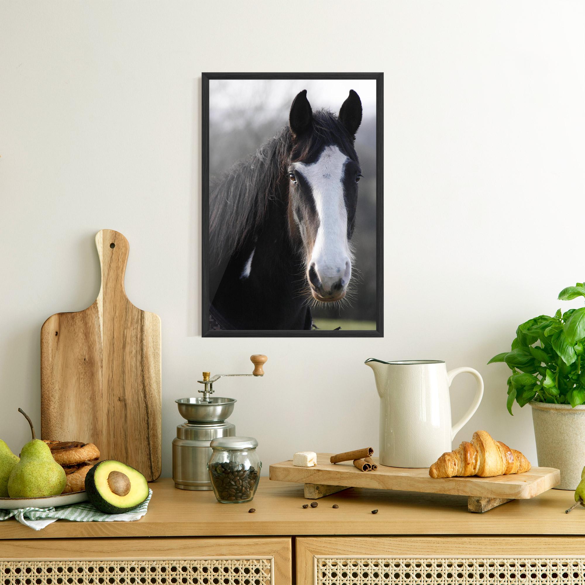 Gerahmte Poster Horse Black Portrait mockup 8