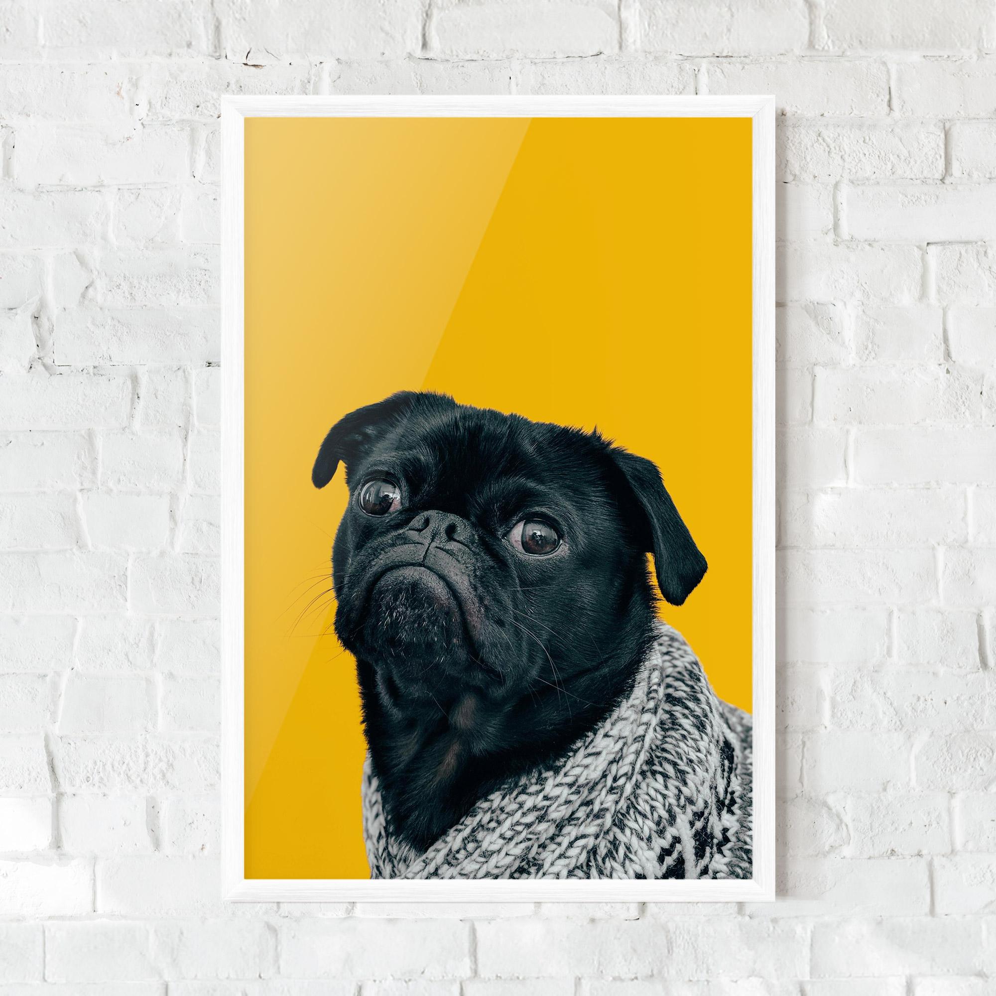 Gerahmte Poster Black Pug mockup 0