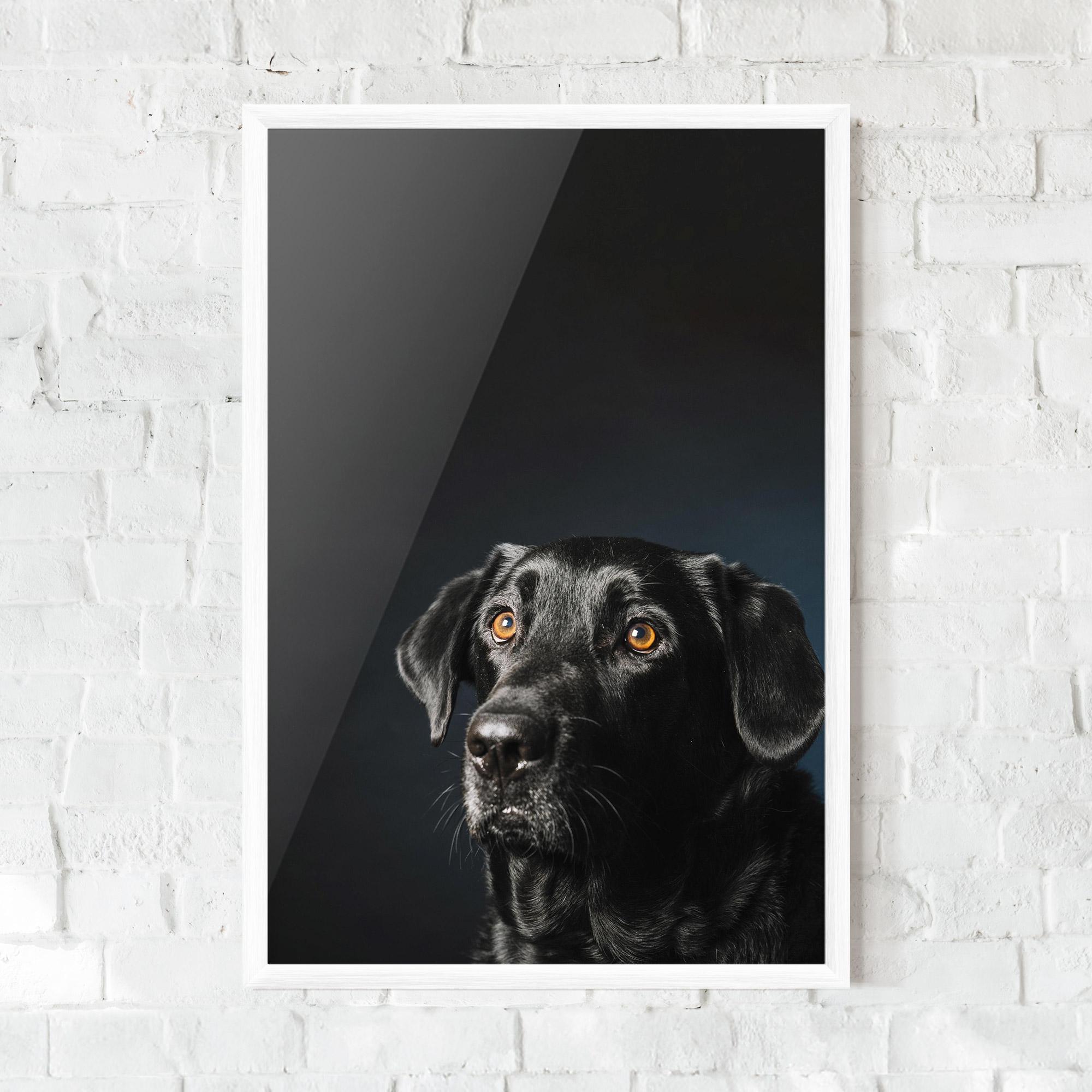 Gerahmte Poster Brown Eyes Dog mockup 0
