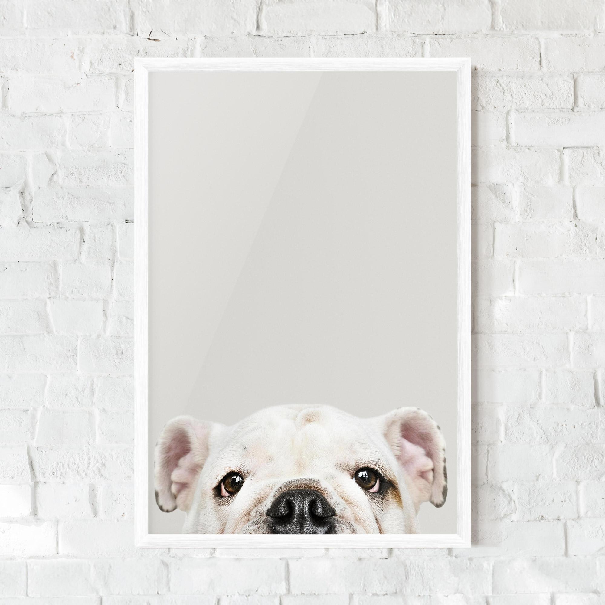 Gerahmte Poster Bulldog Eyes mockup 0