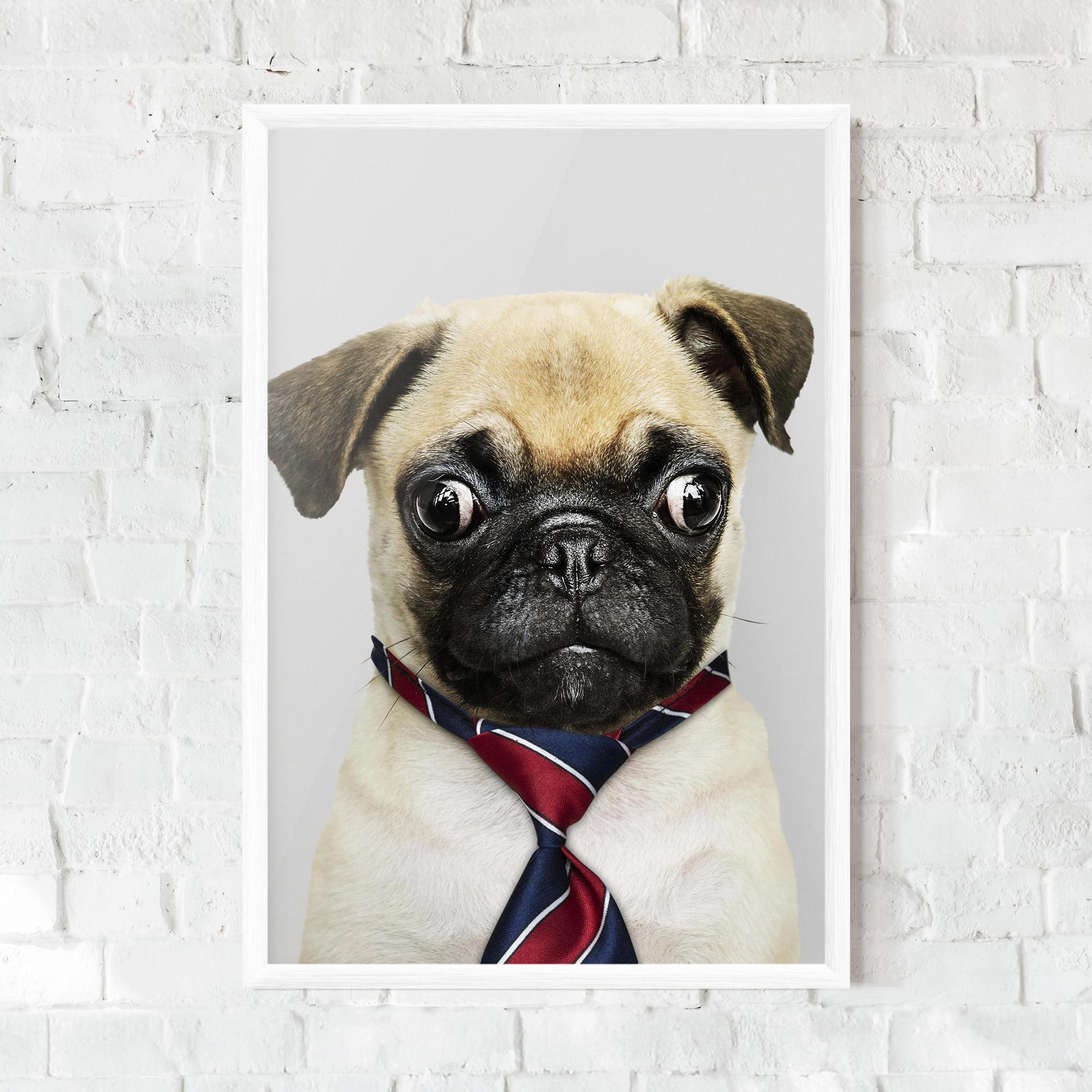 Gerahmte Poster Business Pug mockup 0