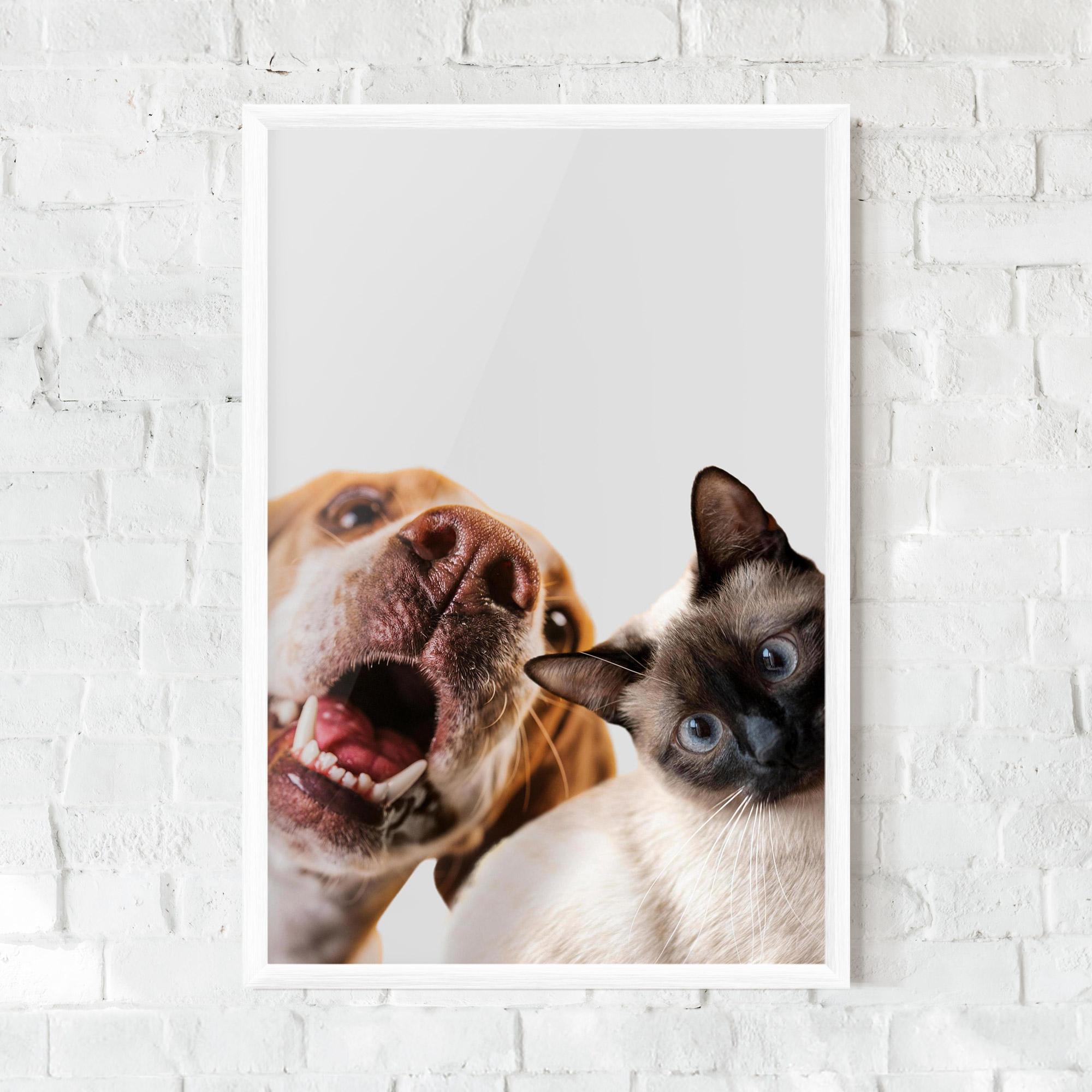 Gerahmte Poster Cute Pet Collage mockup 0